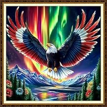 Redxing Counted Cross Stitch Kit for Beginners,Unprinted Needlepoint Kits for Beginners Cross Stitching Embroidery Kit 11CT Stitches kit-Aurora Eagle 18x18 inch