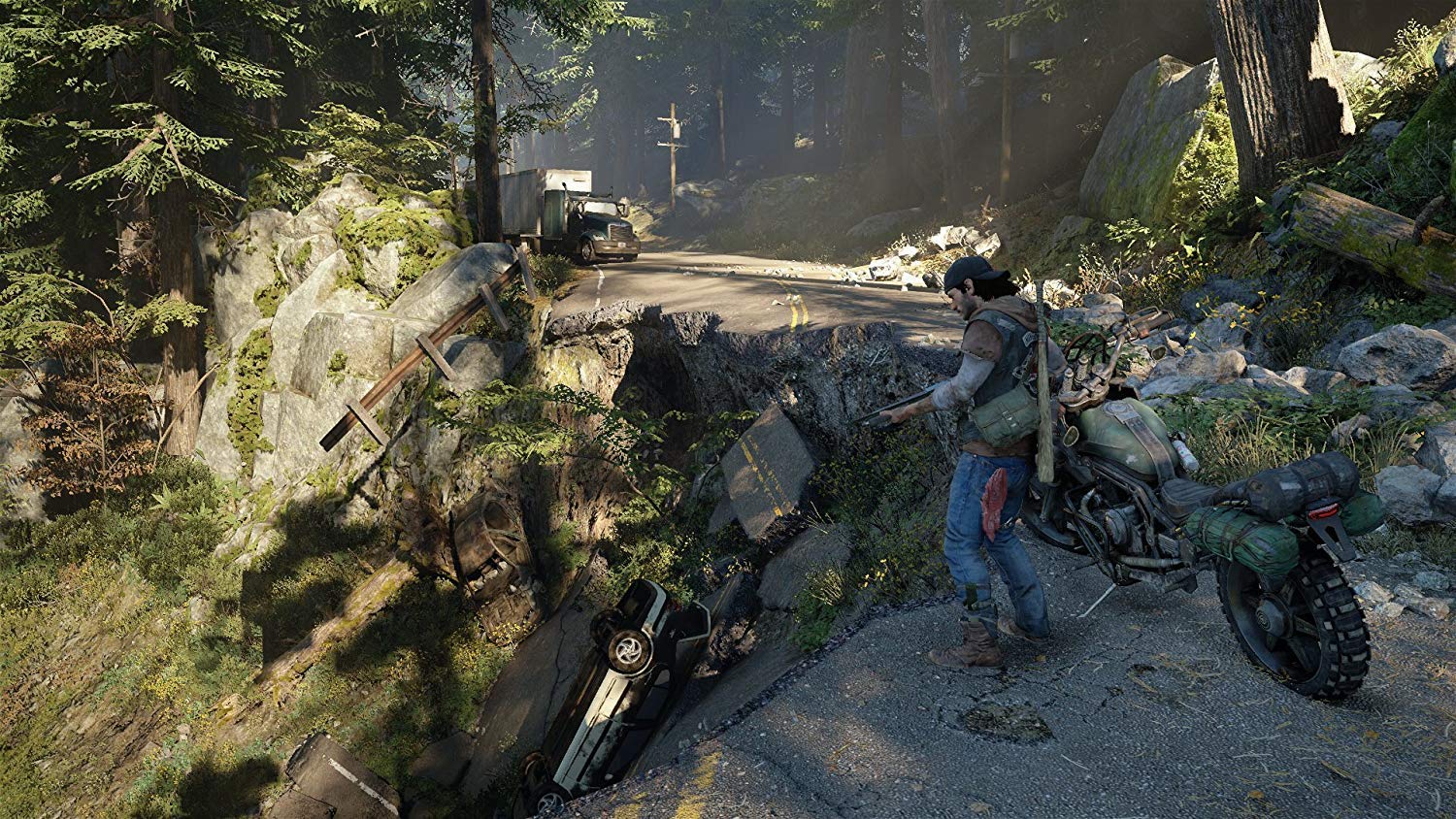 Sony Interactive Entertainment Days Gone Special Edition PlayStation 4