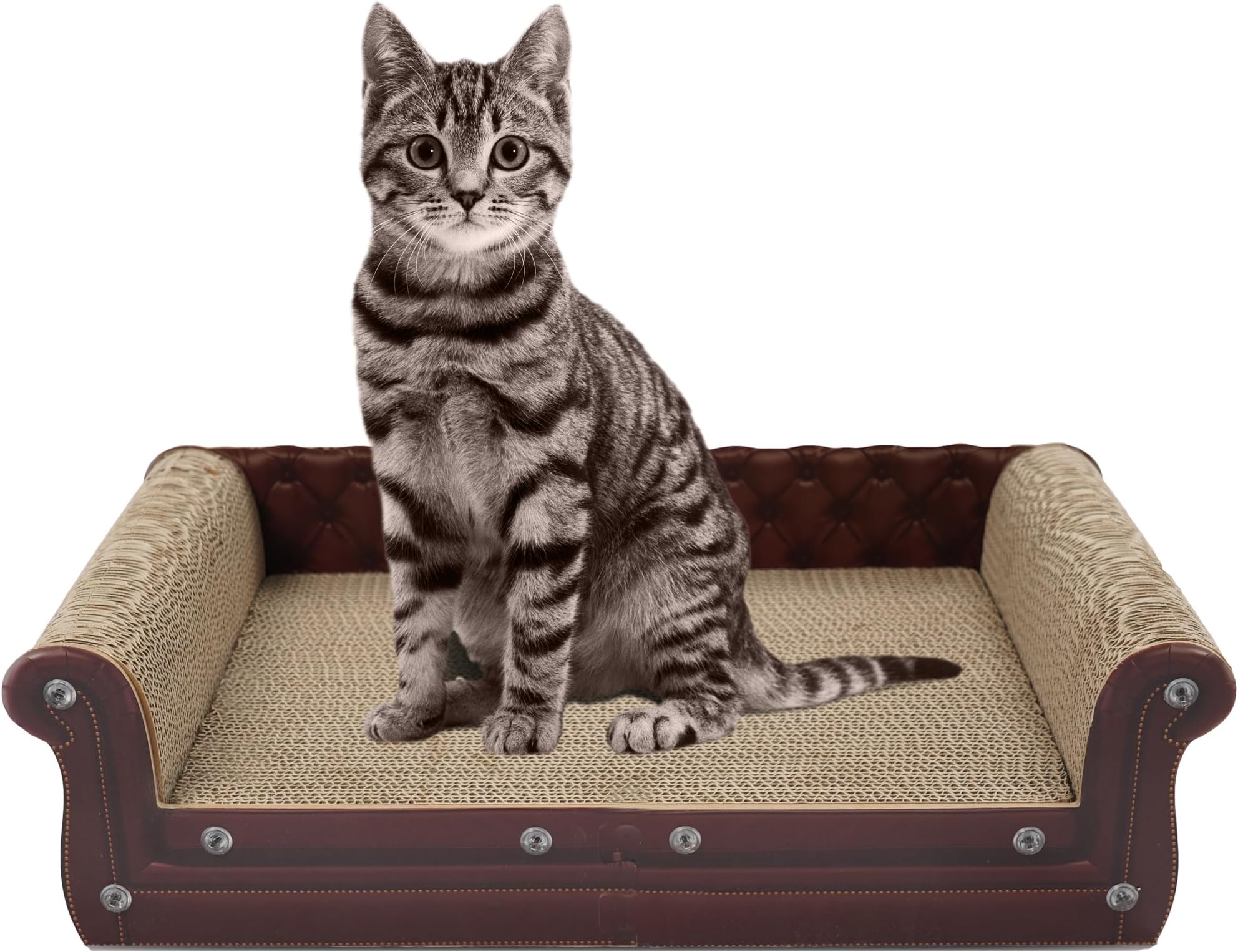 Brown Sofa Cat Scratching Board