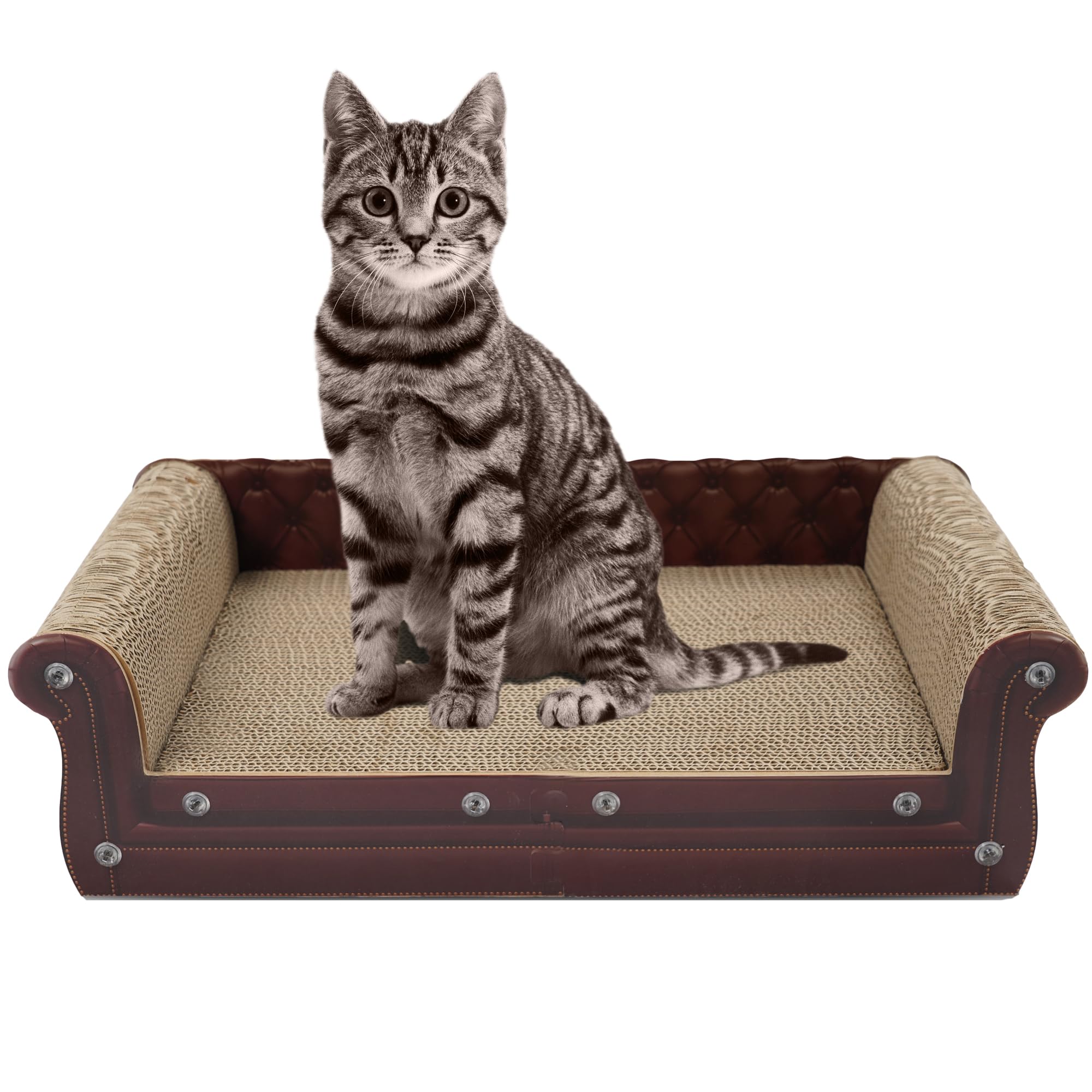 Cat Scratching Sofa, Couch Shaped Thick Cat Scratching Cardboard,Cat Lounge Bed for Indoor Cat Rest&Play,Cat Sofa Scratcher Pad (22.4 "L X 12.2" W X 6.3 "H)