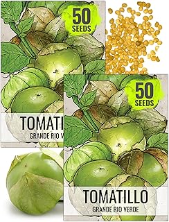 Seed Needs Tomatillo Seeds for Planting Grande Rio Verde Tomatillos - Non-GMO Heirloom & Untreated - Grow a Home Grown Outdoor Vegetable Garden - Great for Salsa & Mexican Cuisine (2 Packs)
