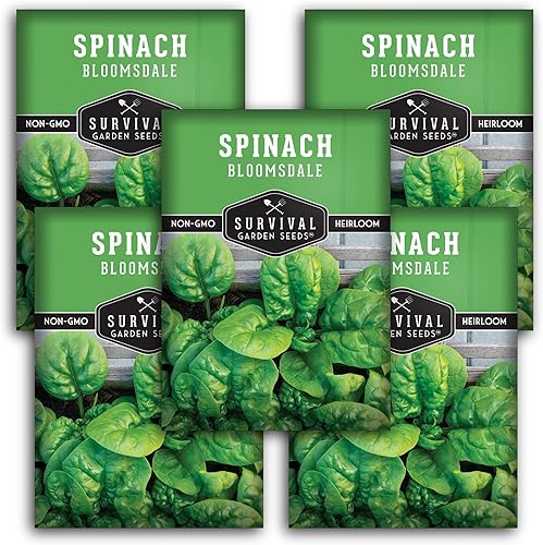 Survival Garden Seeds - Semilla de espinaca Bloomsdale para plantar - 5 paquetes con instrucciones para plantar y cultivar deliciosas verduras de