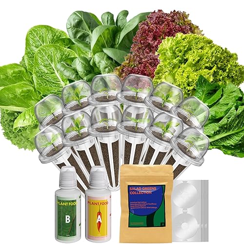 12-Pod Salad Greens Seed Pod Kit for AeroGarden, Ahopegarden, Hydroponic