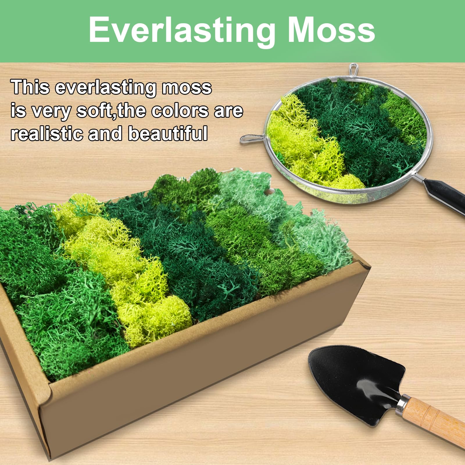 Muschio Conservato Naturale 200g - Decorazione Parete Bianco, Senza Manutenzione - Foto 3