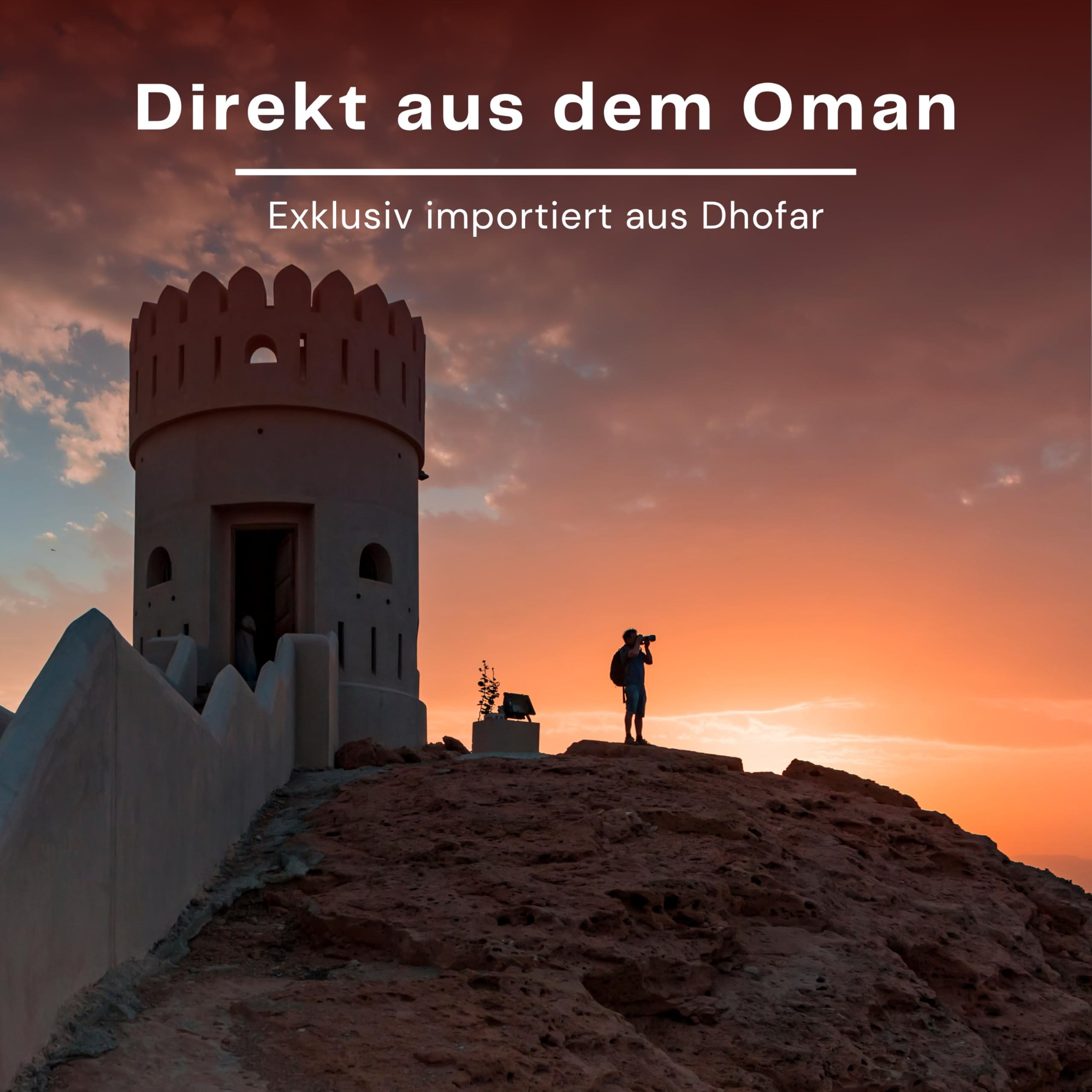 Premium Weihrauch Oman Al-Hojari Grad 3 – große Stücke – orange-braun – Boswellia Sacra – Direktimport 1. Qualität – 500g Packung (verfügbar von 20g bis 1000g)