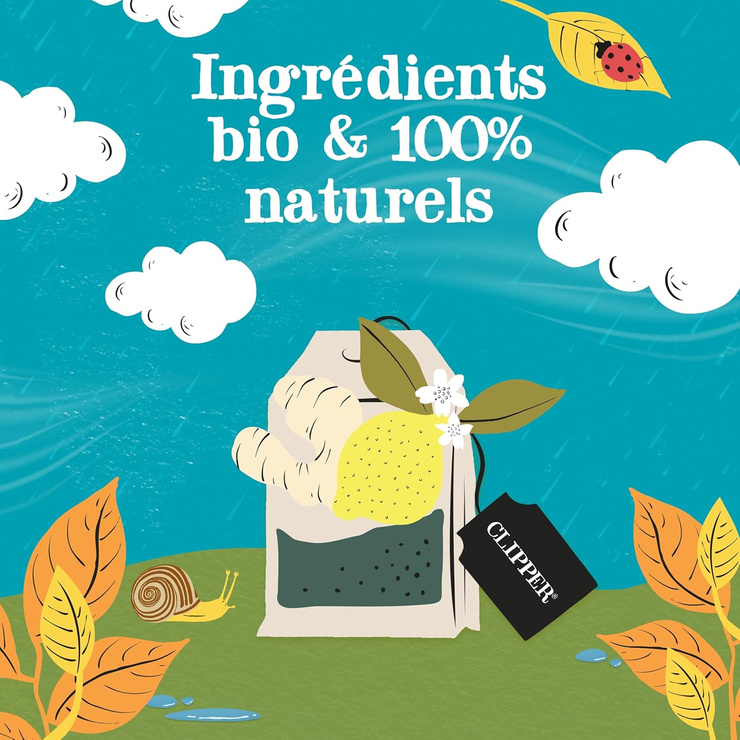 Clipper Infusion Bio Citron & Gingembre: 20 Sachets Bio pour une Détente Naturelle - Image détaillée