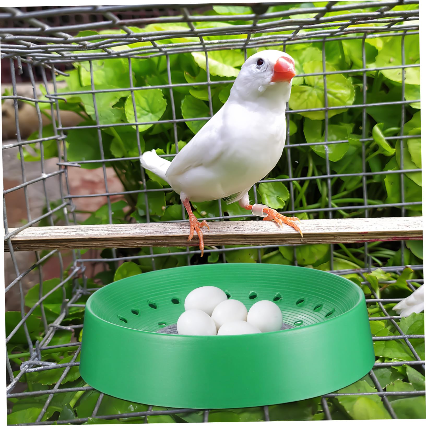 Mikikit 10 Pezzi Ciotole Nidificanti per Piccioni e Uccelli Basins Traspiranti e Resistenti Lavabili e Facili da Asciugare per Allevamento e Riposo o Fattoria