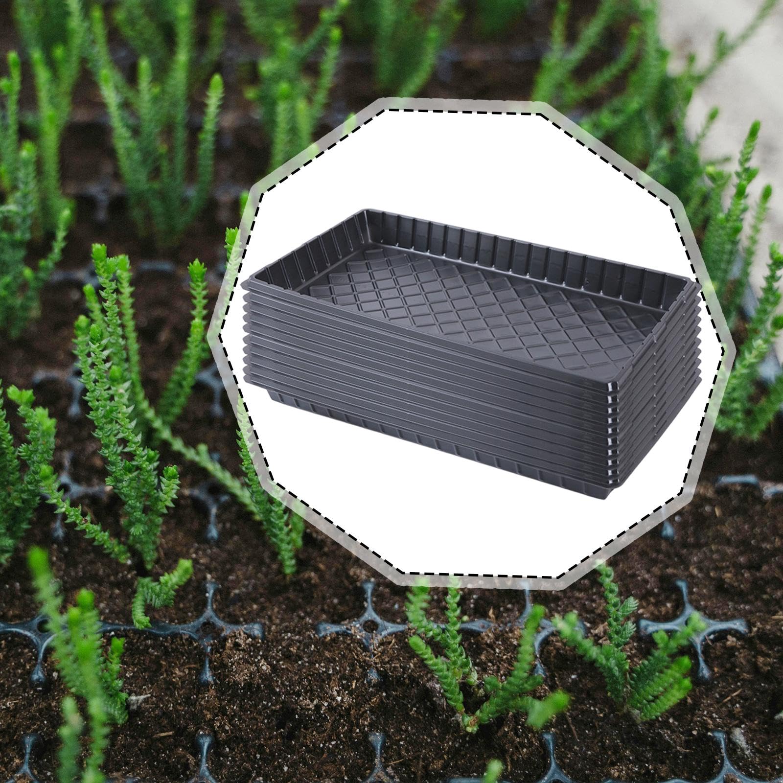 Sharplace 10 Pezzi vassoi per Piantine, Vasetti per Piantine, Semenzaio Germinazione, Vaso per Coltivazione di Piante Facile da Usare, Vassoio per Piantagione per Patio, 54 x 28 Cm, Senza Foro