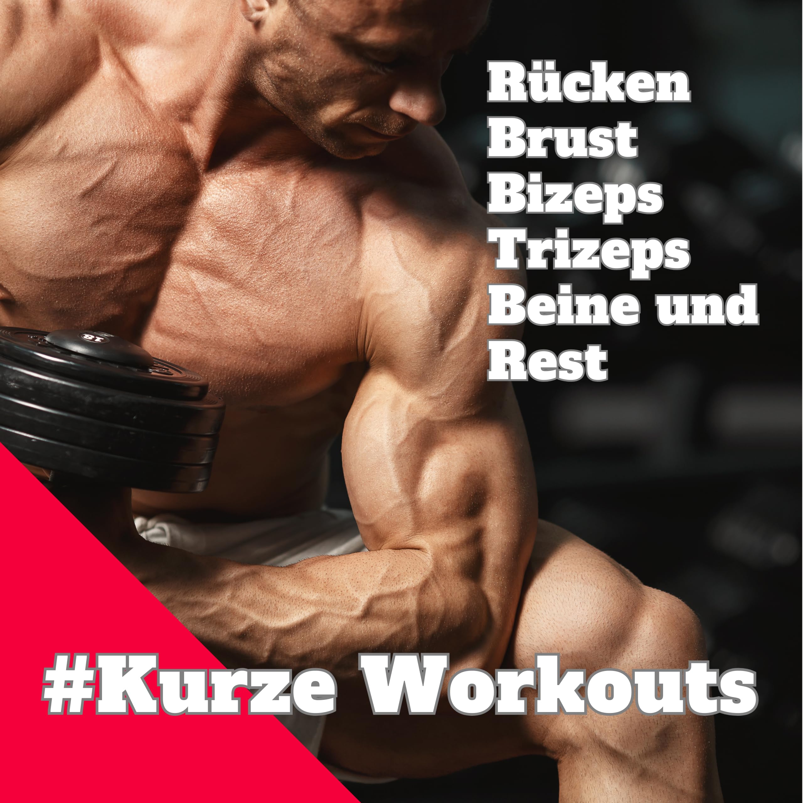 CLEAN SPORTS® Plakat treningowy przedstawiający treningi z hantlami, z sześcioma treningami całego ciała, sportowy, do pokoju hobbystycznego lub siłowni, A2