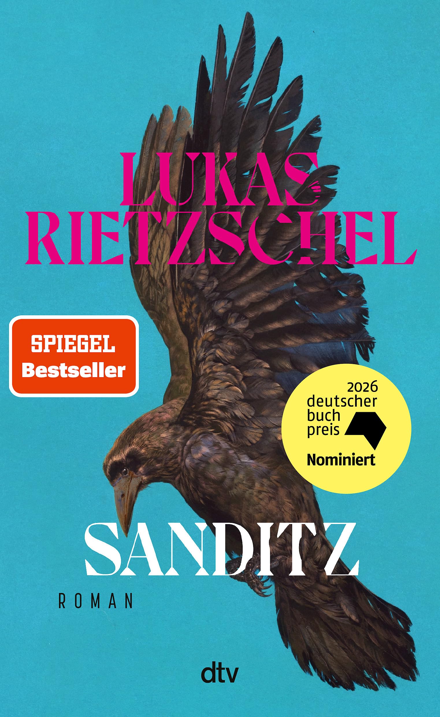 Sanditz: Roman | Das große Epos der Nachwendezeit: 'Rietzschel ist eine der wichtigsten jungen Stimmen Ostdeutschlands.' Frankfurter Allgemeine Zeitung