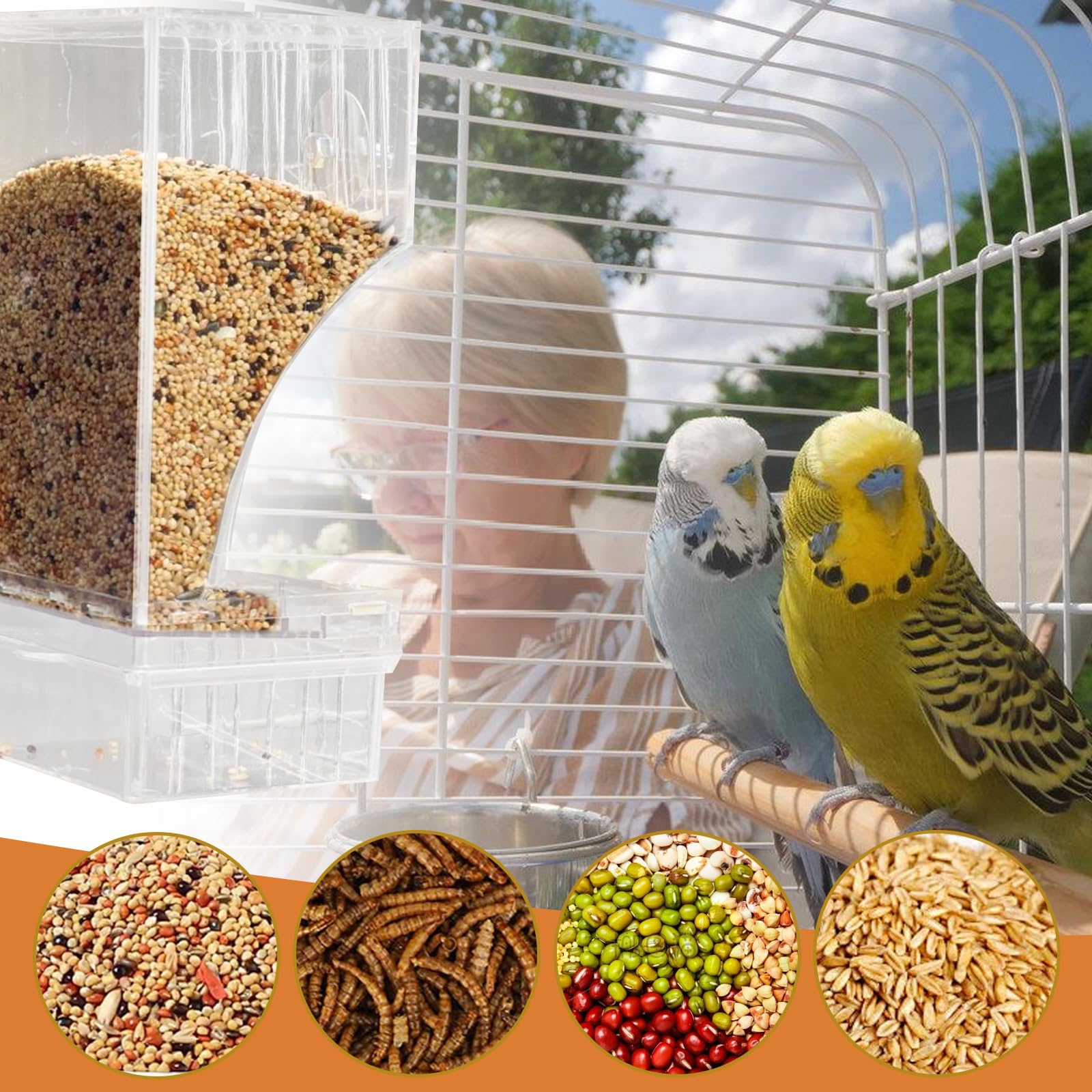 Distributeur automatique de nourriture pour oiseaux et distributeur d'eau : distributeur de nourriture transparent à suspendre pour oiseaux et distributeur d'eau pour perruches, calopsittes, canaris