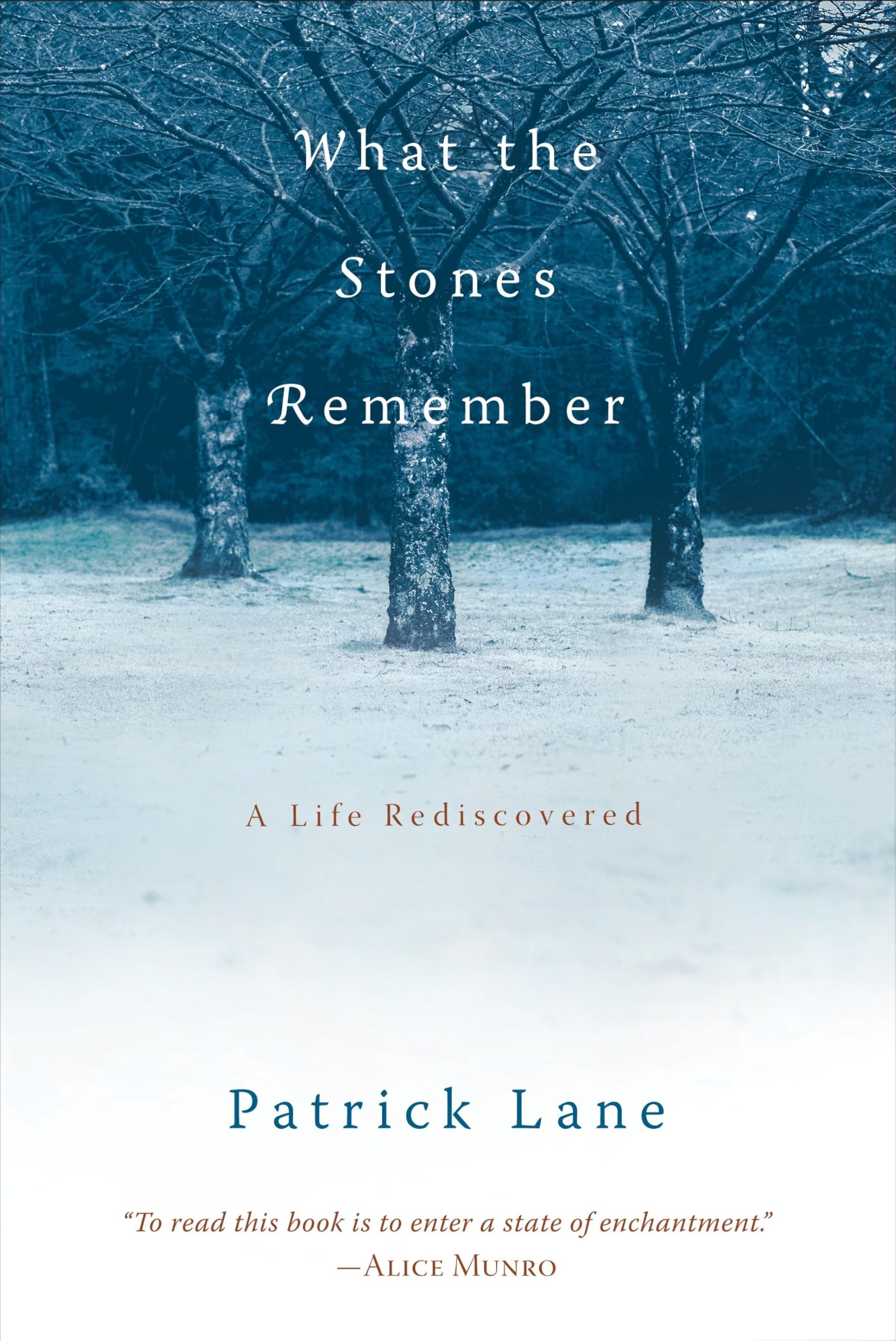 What the Stones Remember: A Life Rediscovered