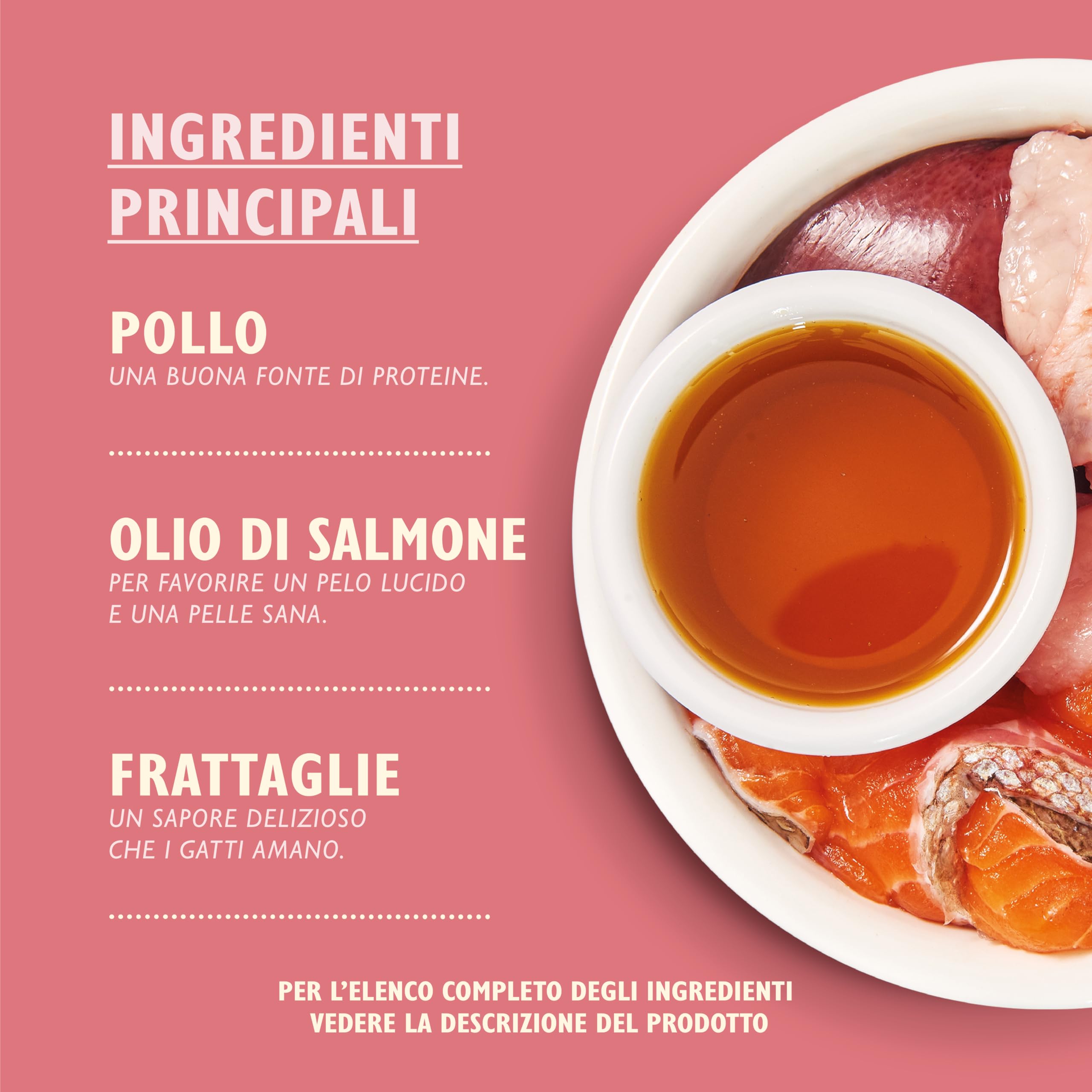 Lily's Kitchen Cibo Umido per Gattino 19er Vaschette (19 x 85g) - Pollo