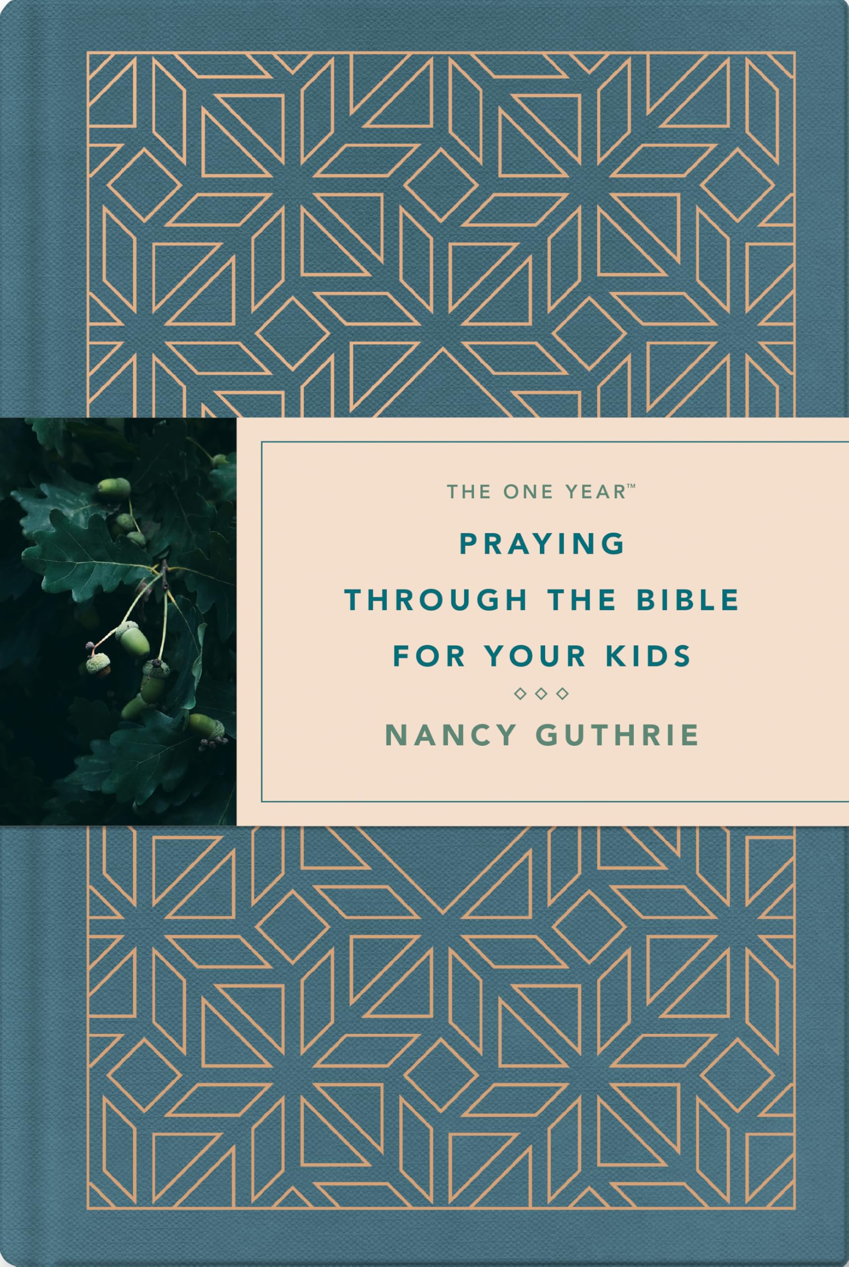 One Year Praying through the Bible for Your Kids, The