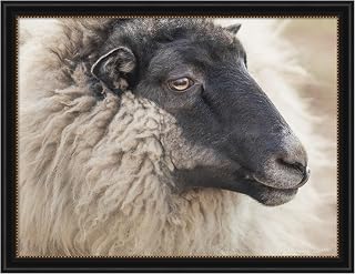 Kate and Laurel Framed Wall Art Print Edward Crop by Emiko and Mark Franzen F2 Images, 44 x 34, Manhattan Black Frame, Rustic Farmhouse, Animal Art for Wall Decor