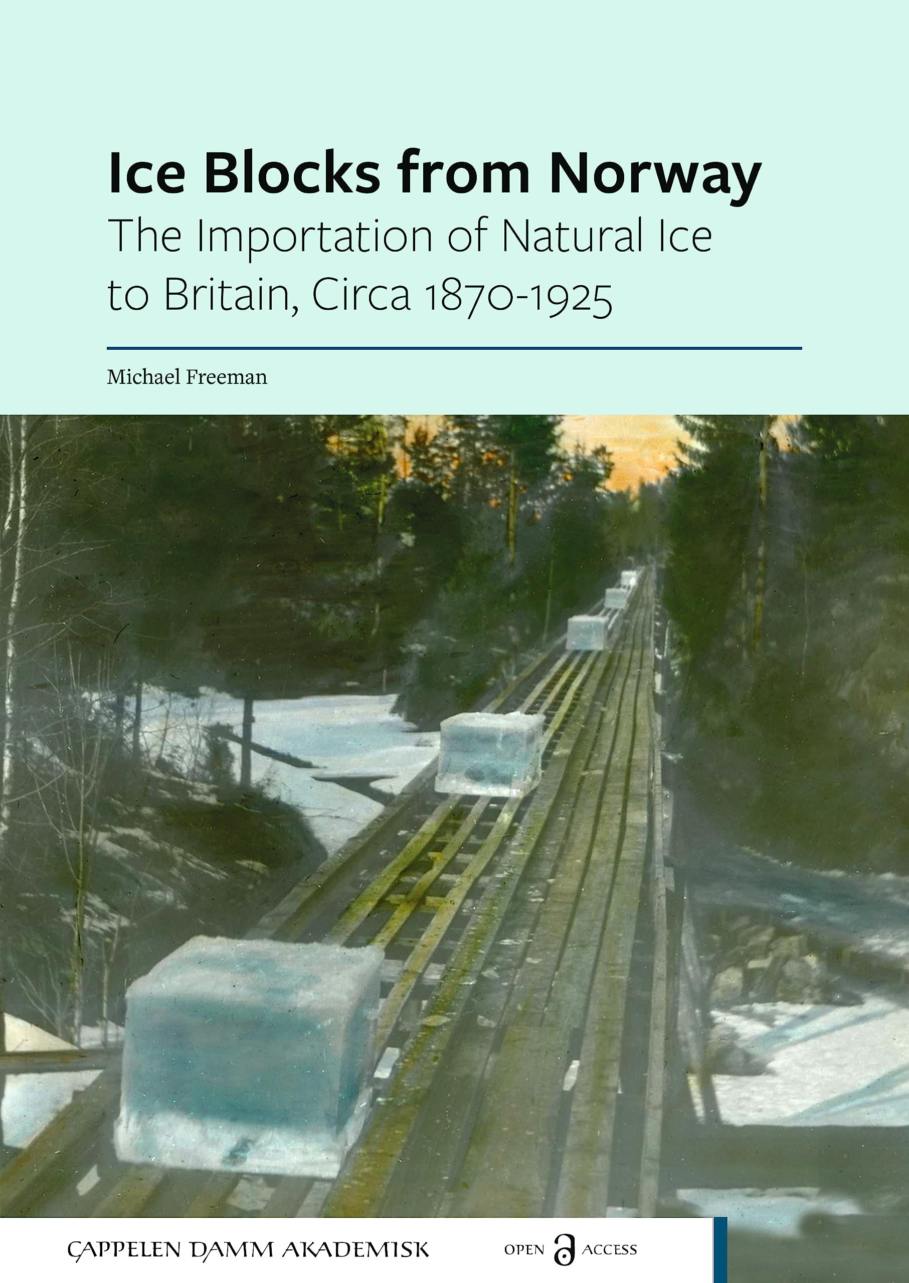 Ice Blocks from Norway by Michael Freeman (Paperback Book)