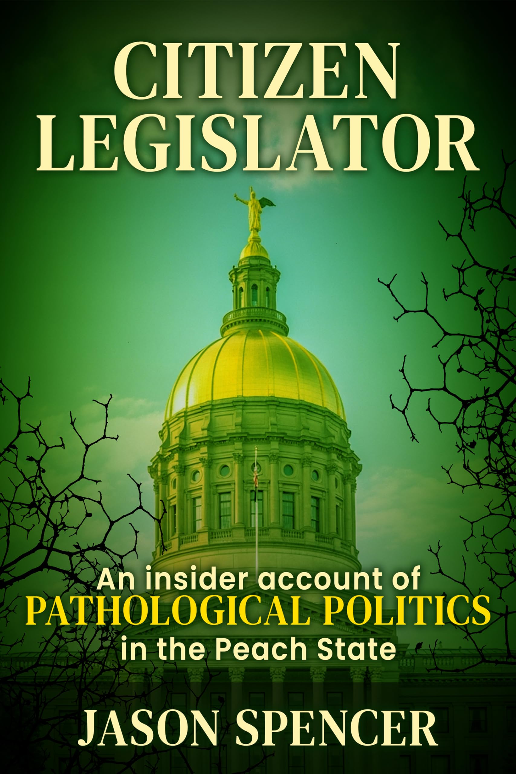 Citizen Legislator : An Insider Account of Pathological Politics in the Peach State
