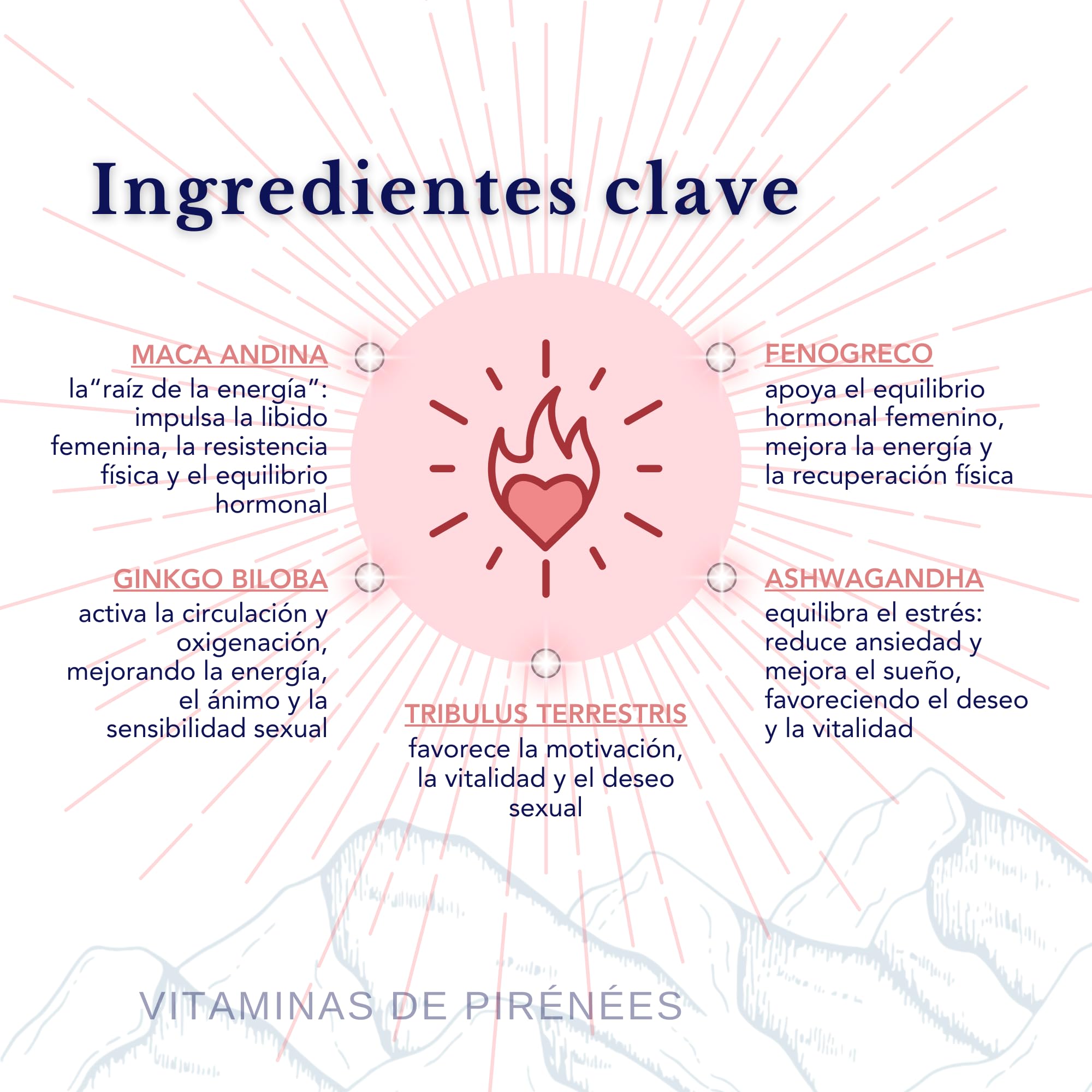 Maca Anadina, Tribulus, Fenogreco, Ashwagandha y Ginkgo Biloba – Ideal para la energía, el equilibrio hormonal y el bienestar diario | 28 sachets diarios