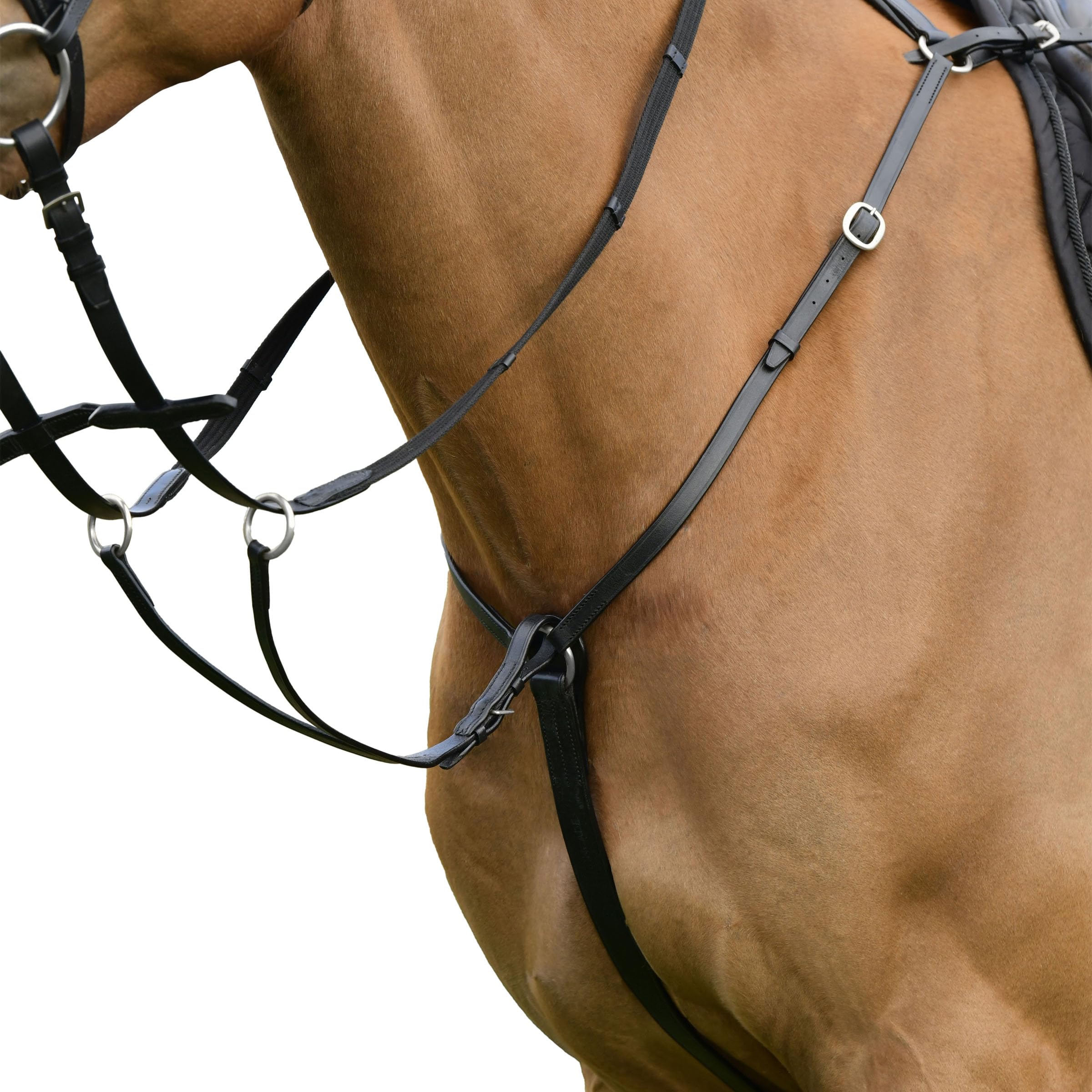 Kincade Classic 3 Point Breastplate with Running Martingale, Black, Cob