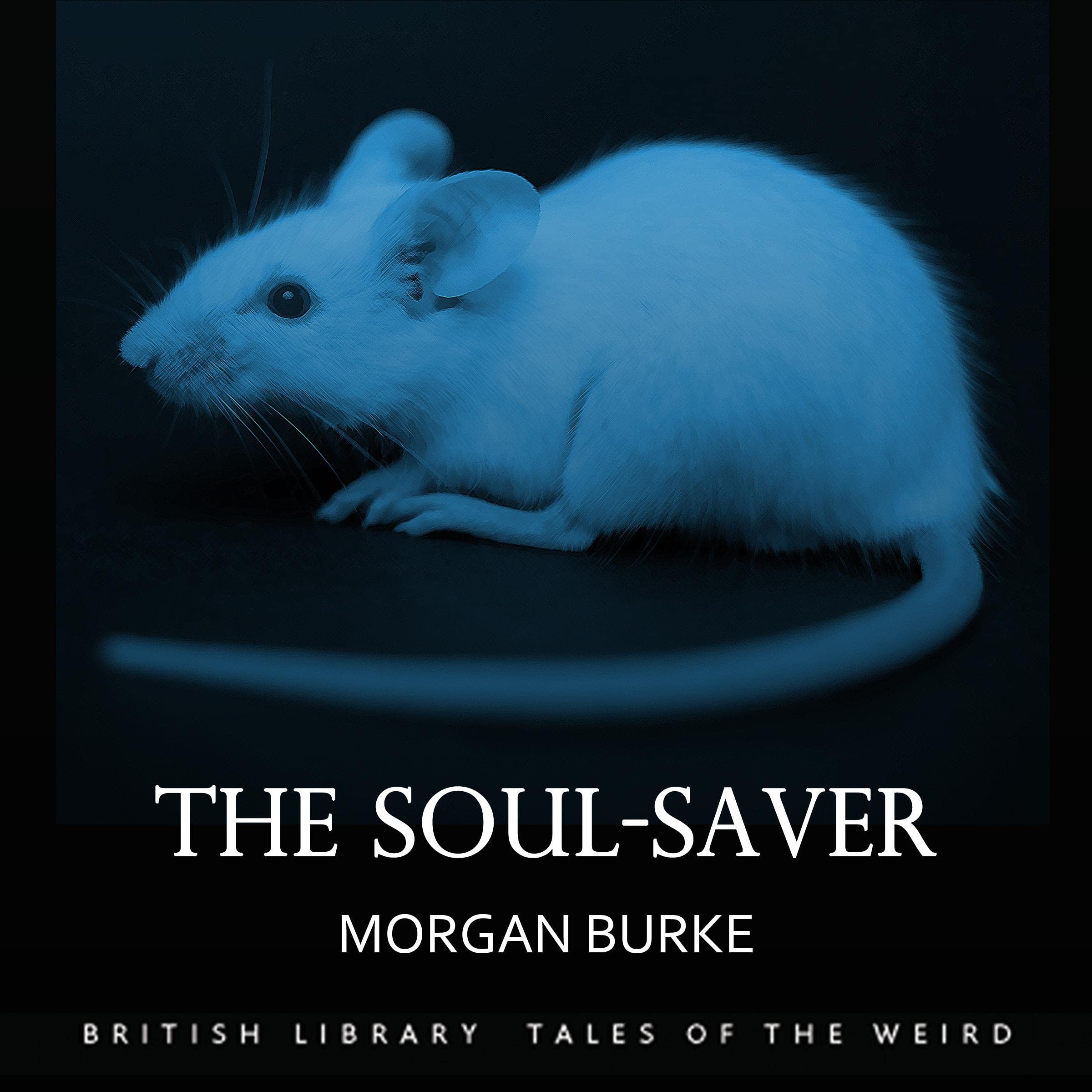 Cover art for The Soul-Saver