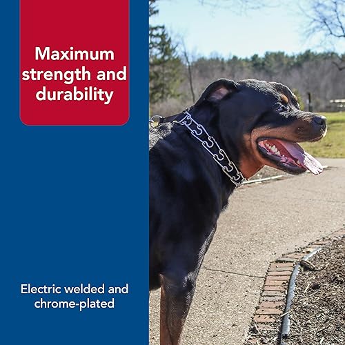 Miniatura 5 de Coastal Pet Titan - Collar de entrenamiento para perro, fácil de poner, collar de metal duradero con hebilla de liberación lateral, negro, 0.130 in