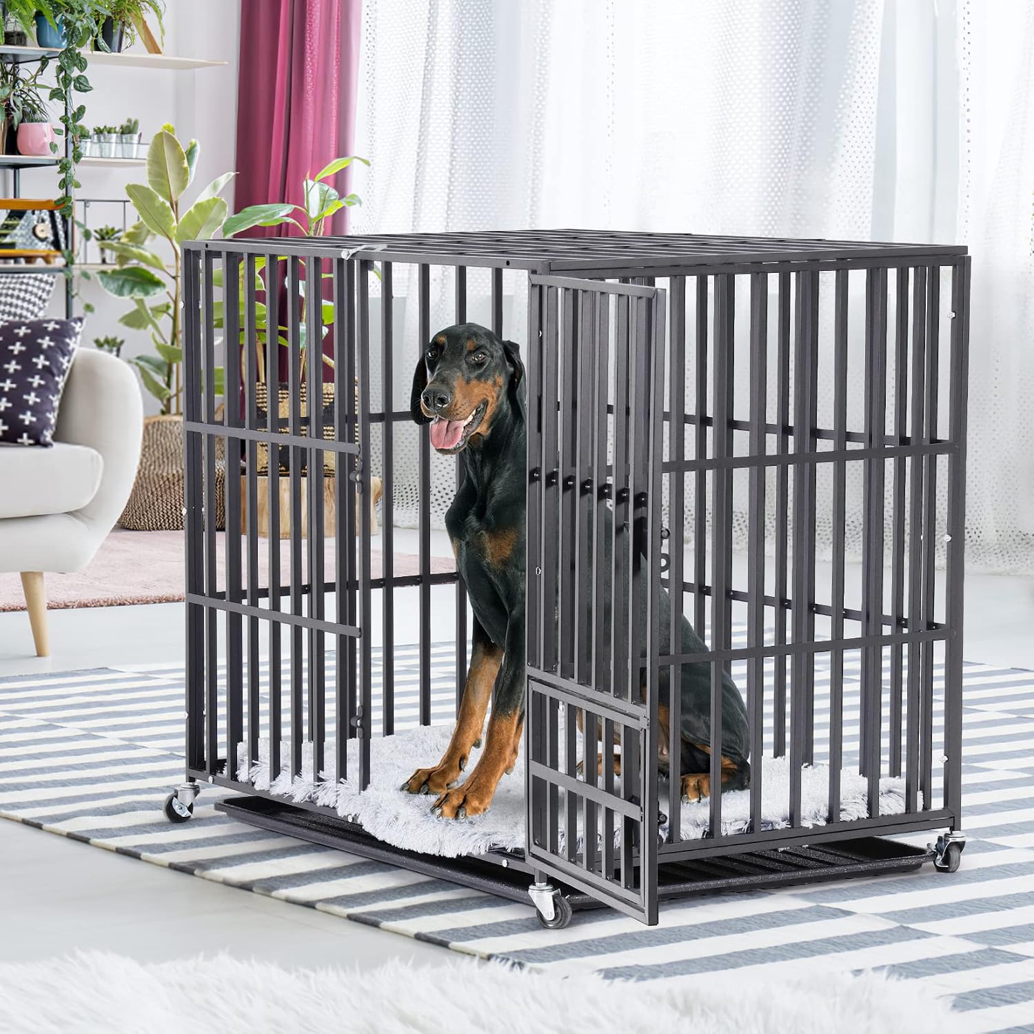 Doberman Pinscher sitting inside the BingoPaw dog crate with the front door open