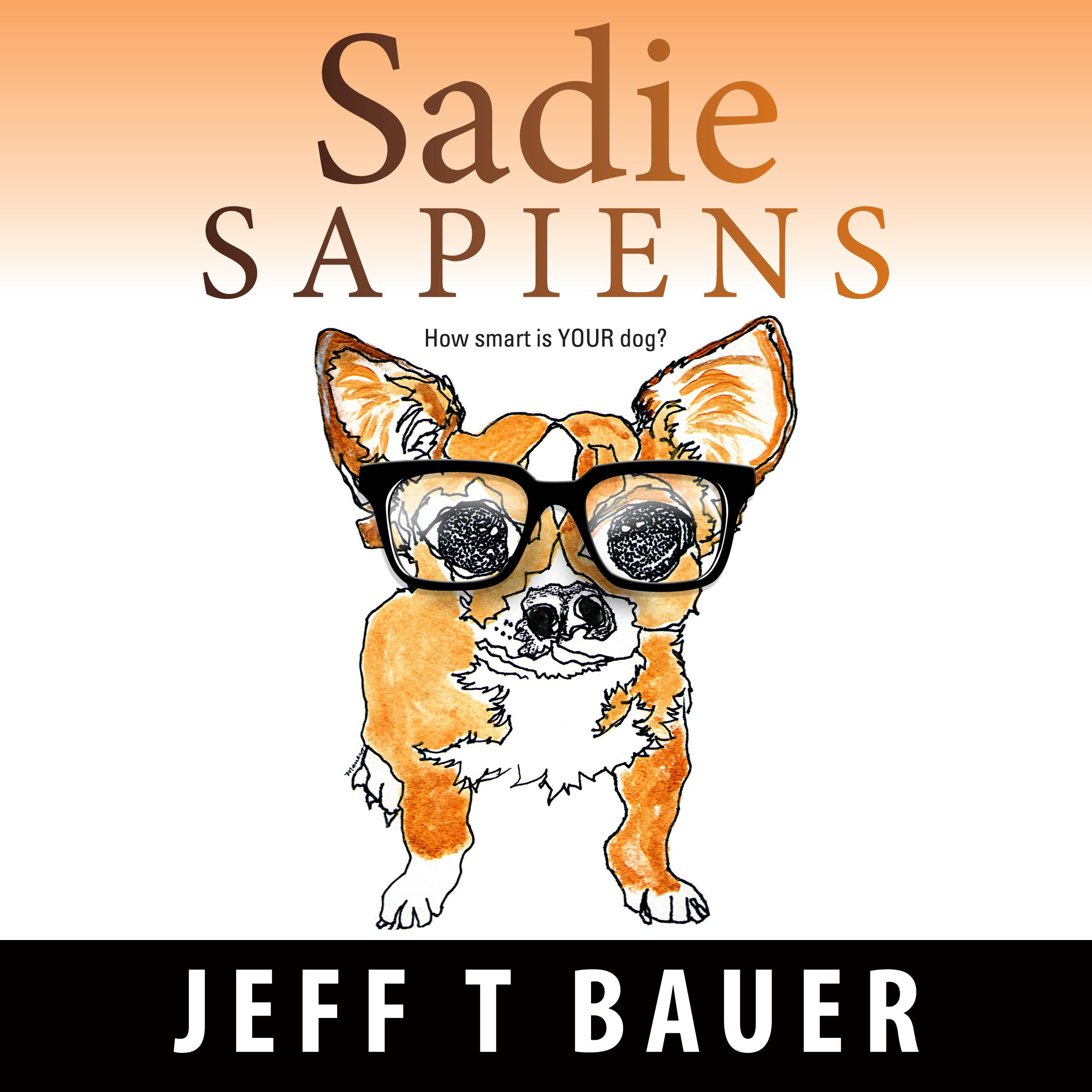 Cover art for Sadie Sapiens