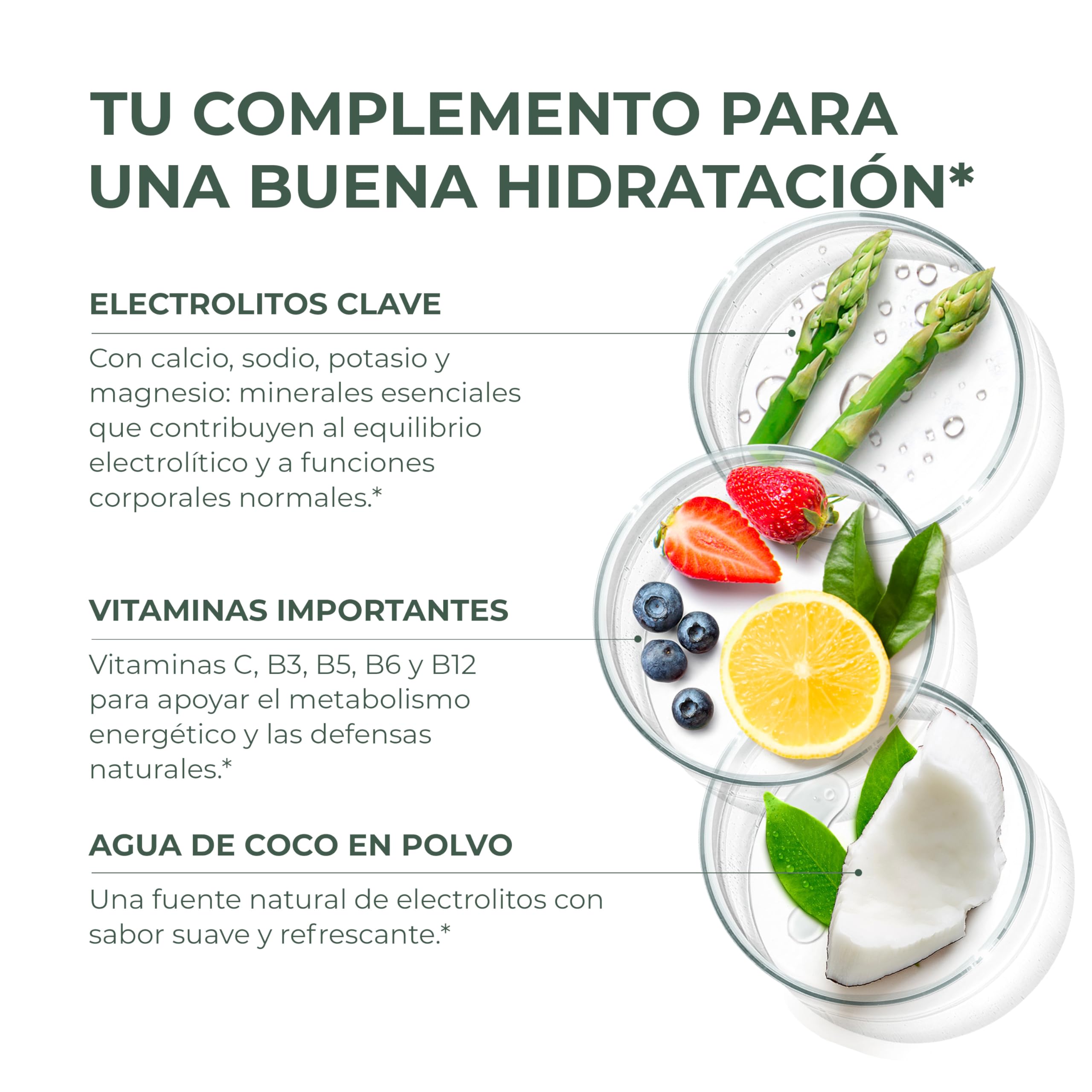 Primal Hydration de Primal Harvest - Bebida isotónica con electrolitos en sobres individuales, con Magnesio, Potasio y Vitamina C, ideal para hombres y mujeres, 30 raciones (1 Pack (30 Count))