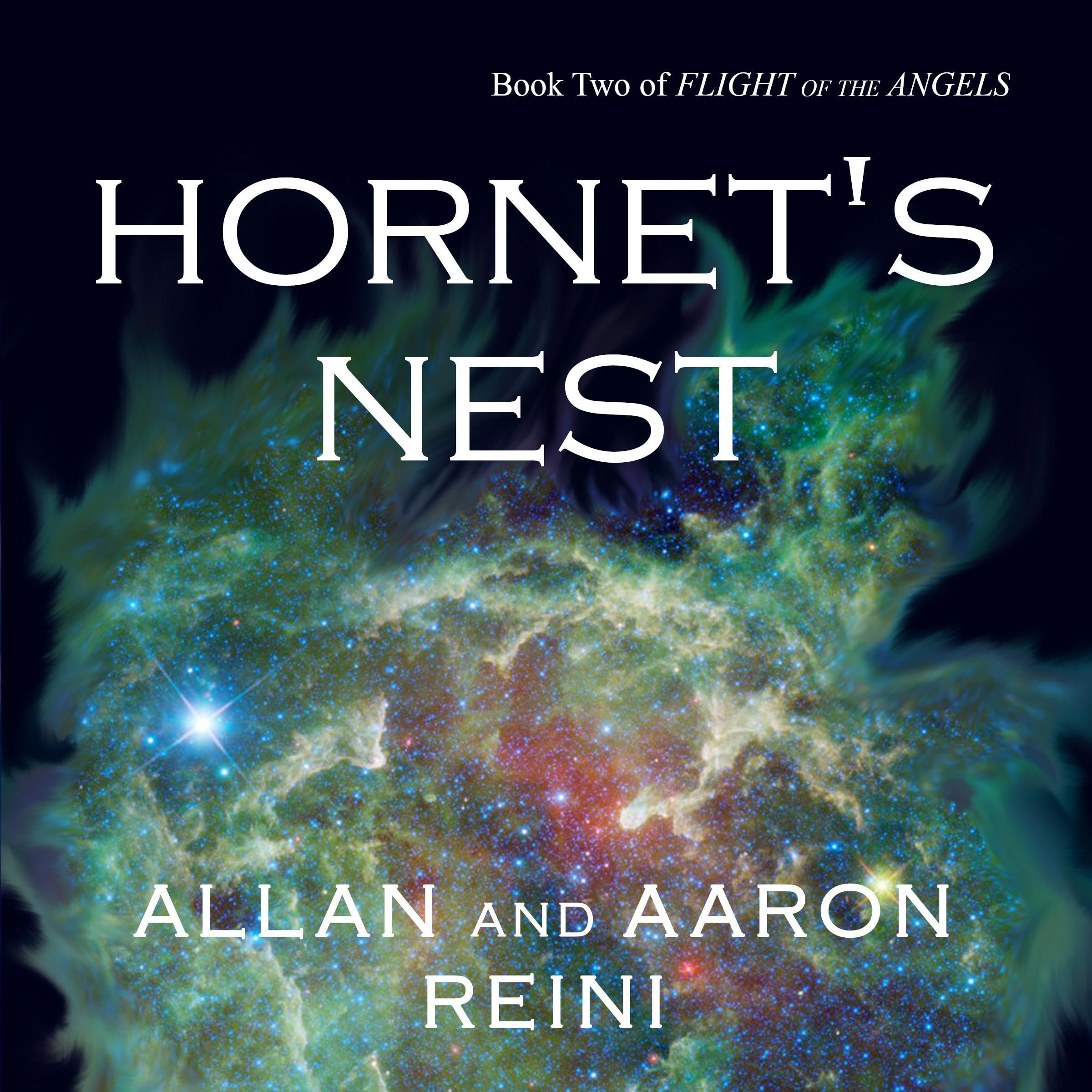 Cover art for Hornet's Nest