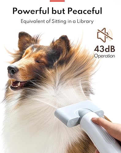 Miniatura 2 de HomeRunPet Secador de pelo para mascotas, con 99 velocidades de viento ajustables y control de temperatura, 3 boquillas diferentes, secador