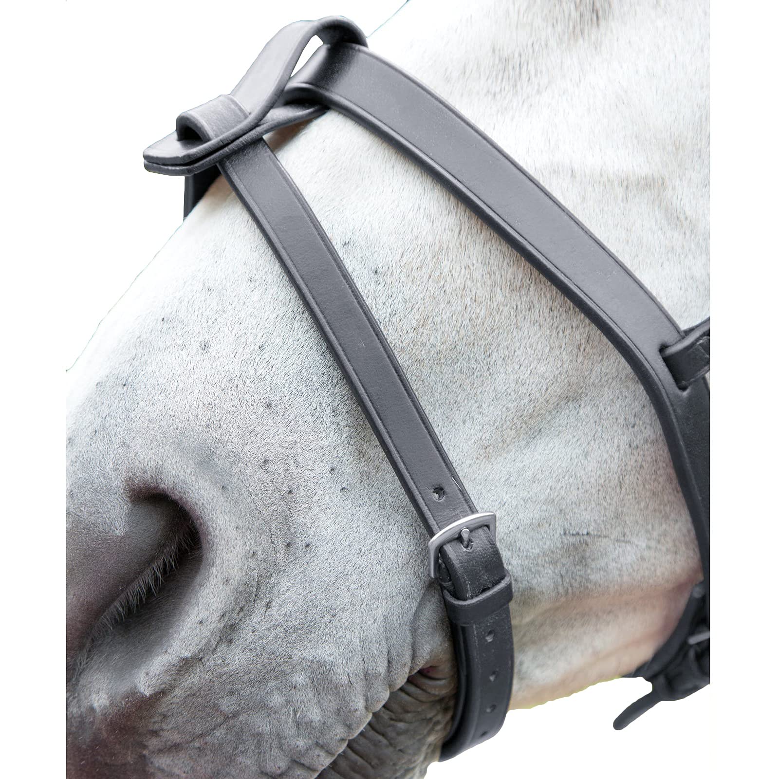 Shires Velociti GARA Flash Strap Pony Black