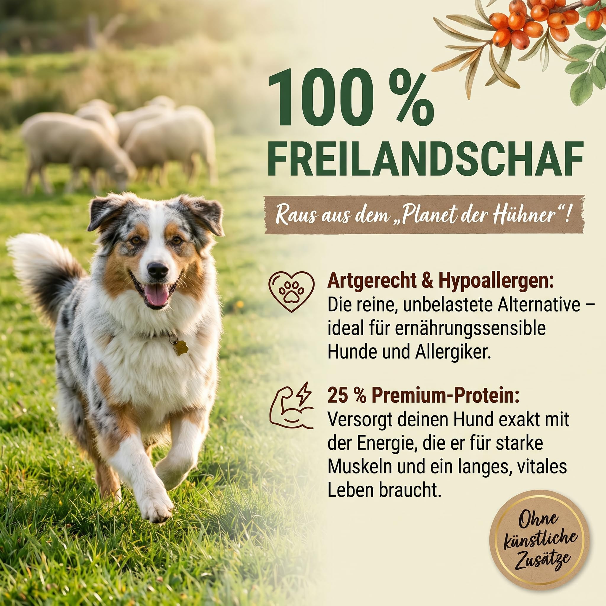 Freilandschaf 4x5kg - kaltgepresstes Trockenfutter - 25% Protein - mit Sanddorn & Moringa – hypoallergen - Ballaststoffreich für eine natürliche Darmunterstützung