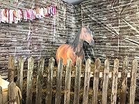 Review Image by Darlene Darlene