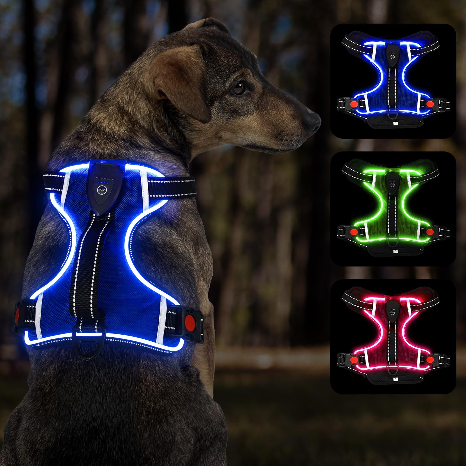 YFbrite Light up Dog Harness, Adjustable Waterproof LED Dog Harness for Small Medium and Large Dogs (Blue, X-Large)