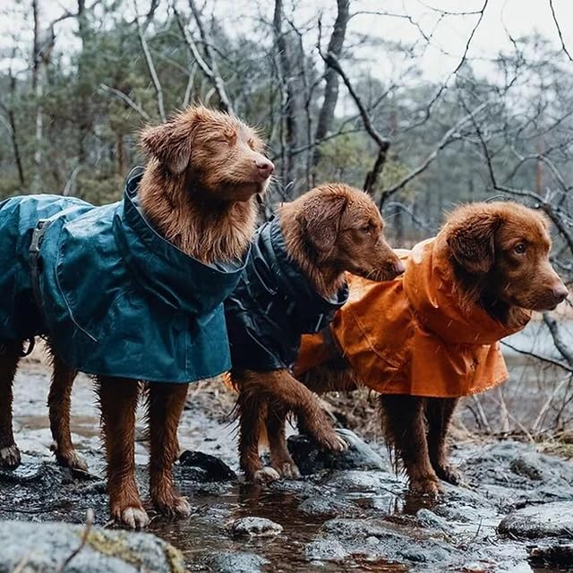 Foto 5 de 7 de Hurtta Monsoon Coat, Impermeable para Perro, arándano, 14 Pulgadas