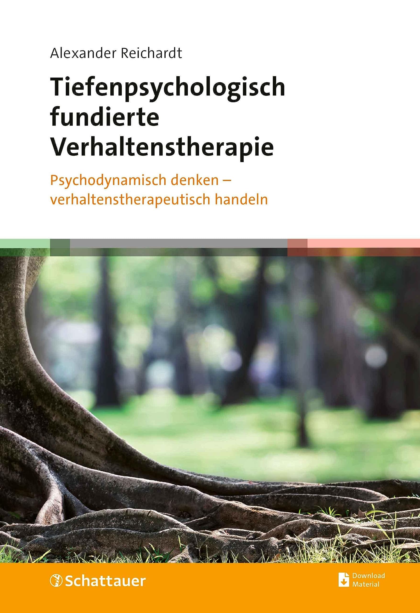 Tiefenpsychologisch fundierte Verhaltenstherapie: Psychodynamisch denken – verhaltenstherapeutisch handeln