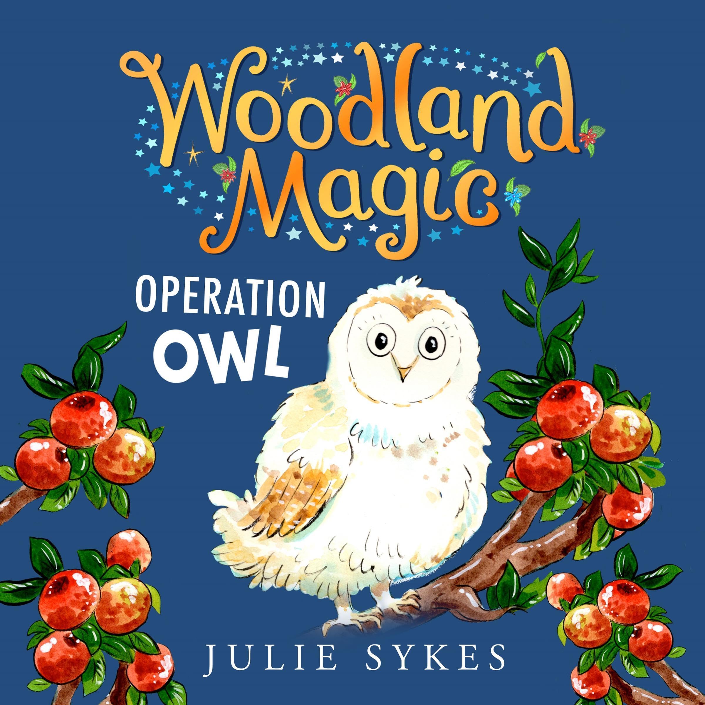 Cover art for Operation Owl