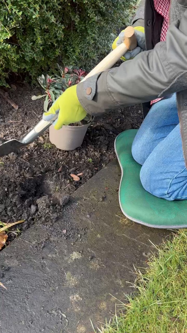 Vanga Da Bordura Spear & Jackson Kew Gardens - Acciaio Carbonio Forgiato Per Giardinaggio Di Precisione - Foto 4