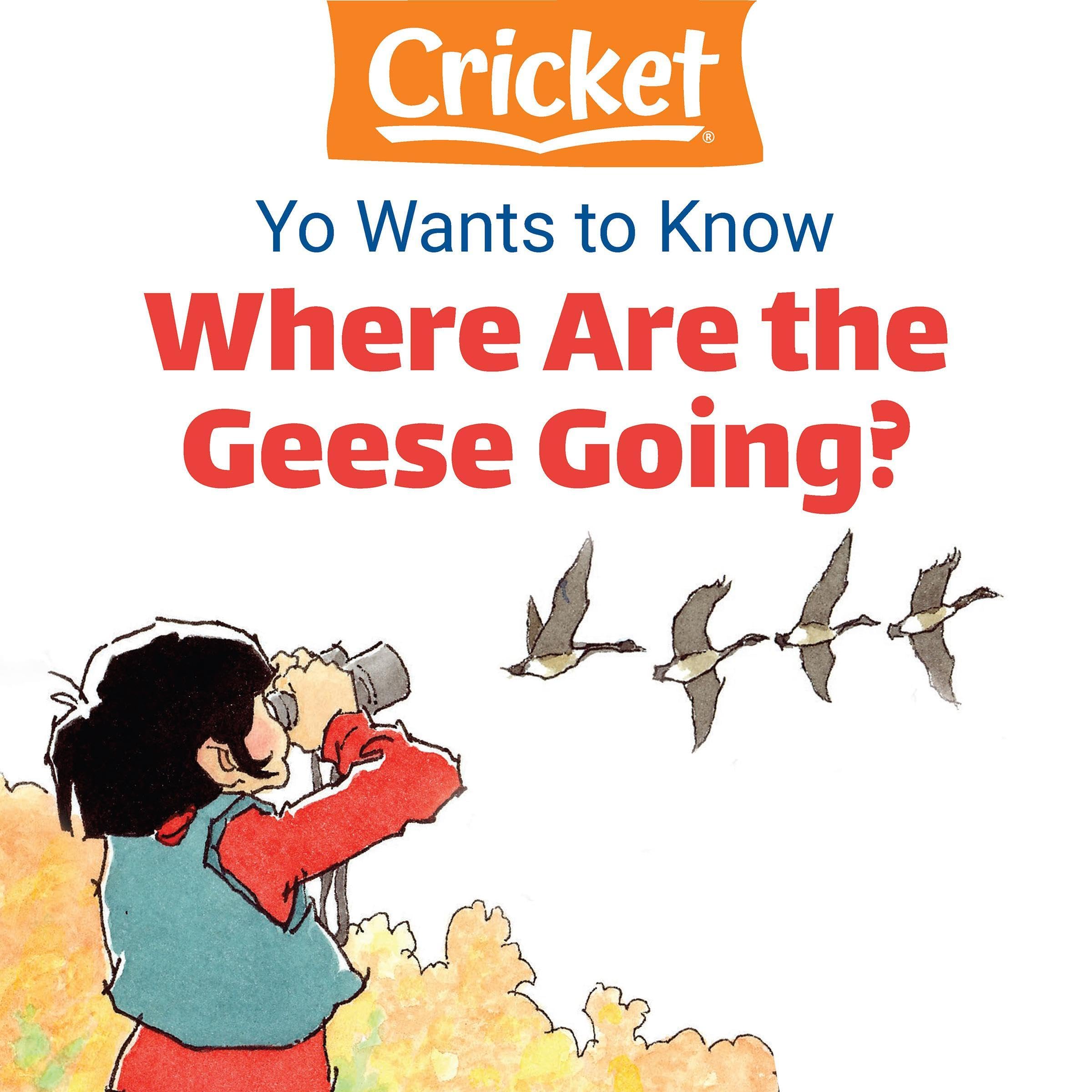 Yo Wants to Know: Where Are the Geese Going?