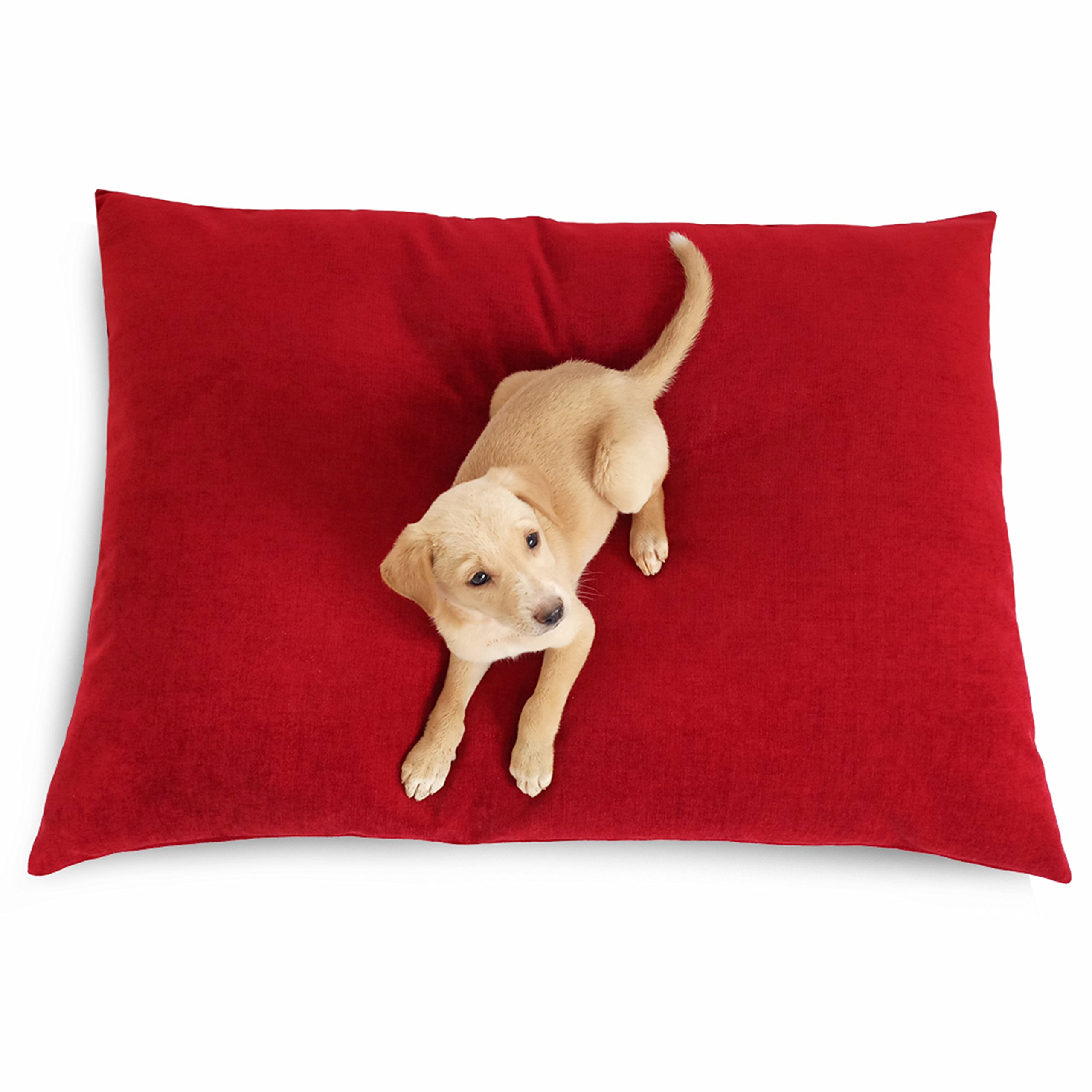 See full amazon price history chart for PRAZUCHI Cover for Waterproof Dog Bed - Luxury-(M/L/XL/XXL) 18+Colors PRAZUCHI Cover for Waterproof Dog Bed - Luxury-(M/L/XL/XXL) 18+Colors (B07JGWXSZQ) Amazon Price History, Amazon Price Tracker