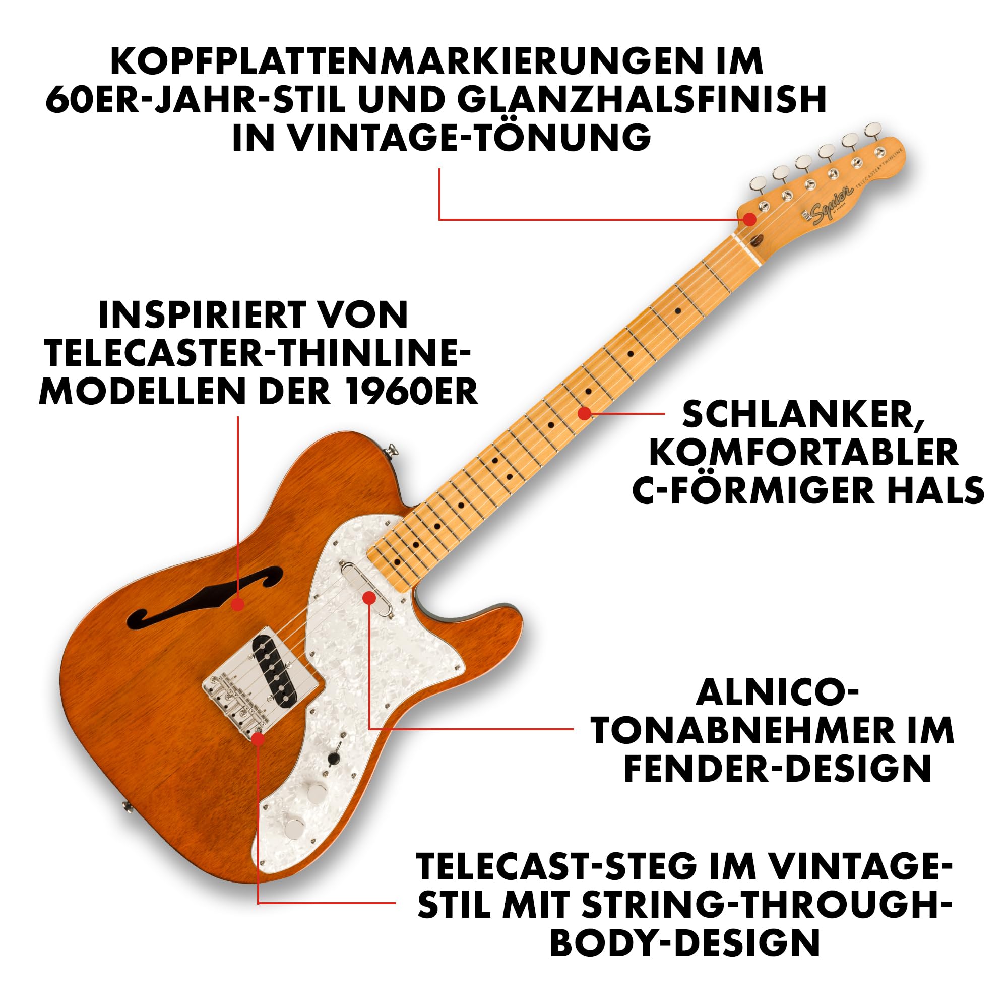 Squier by Fender Classic Vibe 60s Telecaster Thinline, E-Gitarre, Semi-Hollow, Ahornhals, Single-Coil Pickups, Elektrogitarre für Anfänger und Profis, Natur, Vintage-Stil