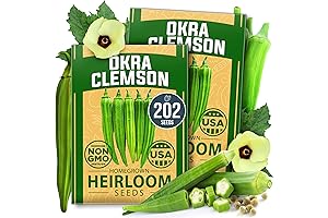HOME GROWN Clemson Spineless Okra Plant Live Seed 2-Pack