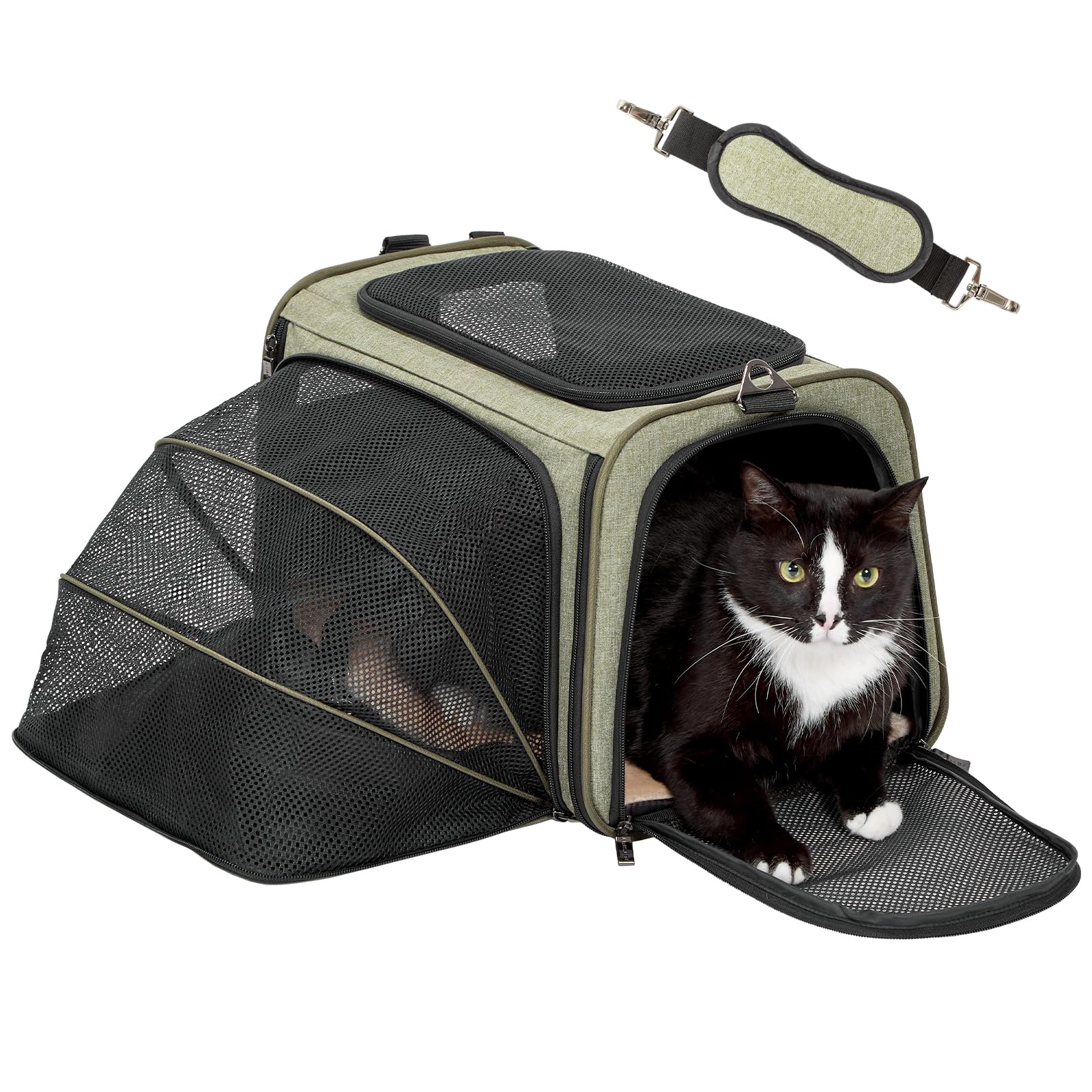 Petsfit Sac de Transport Extensible pour Chat - Deux côtés Confortables et Pliables avec Tapis en Polaire - Ouverture sur Le Dessus - Vert - 1 côté Extensible