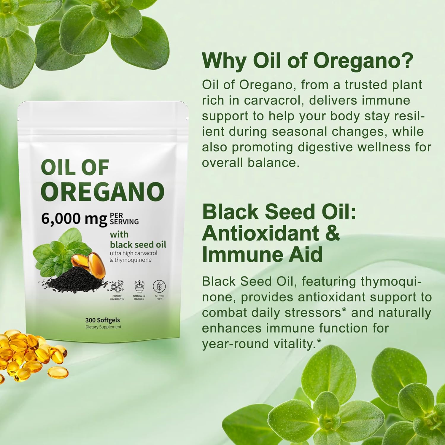 Oil of Oregano with Black Seed Oil - Oil of Oregano Capsules, Aceite de Orégano Capsulas, Immune Support, Non-GMO, Gluten Free, 6000MG 300 Softgels