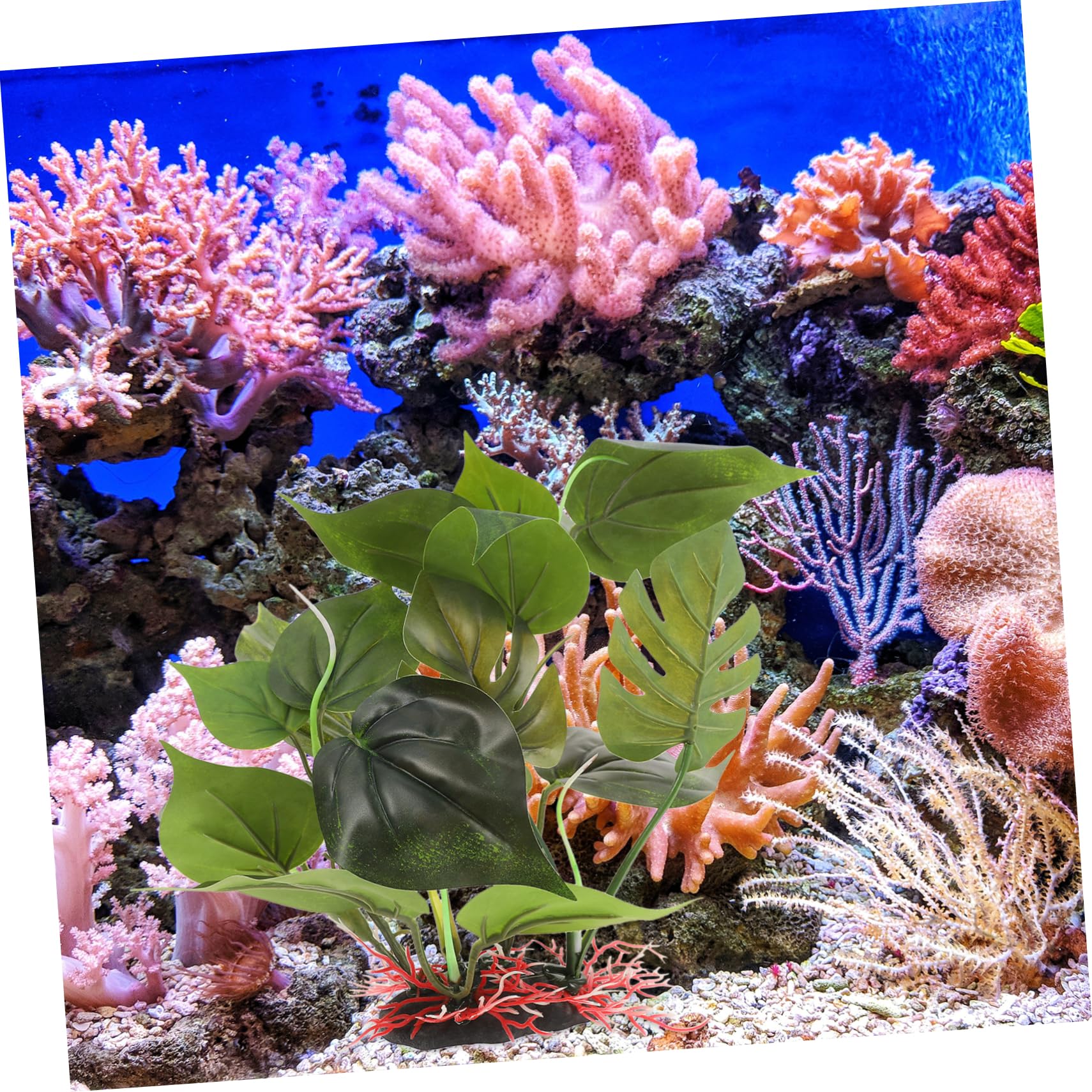 Kisangel 3piezas Planta Artificial para Acuario Decoración De Plástico para Peceras Adorno y Natural para Betta y Accesorios Acuáticos para Acuarios De Agua Dulce y Salada