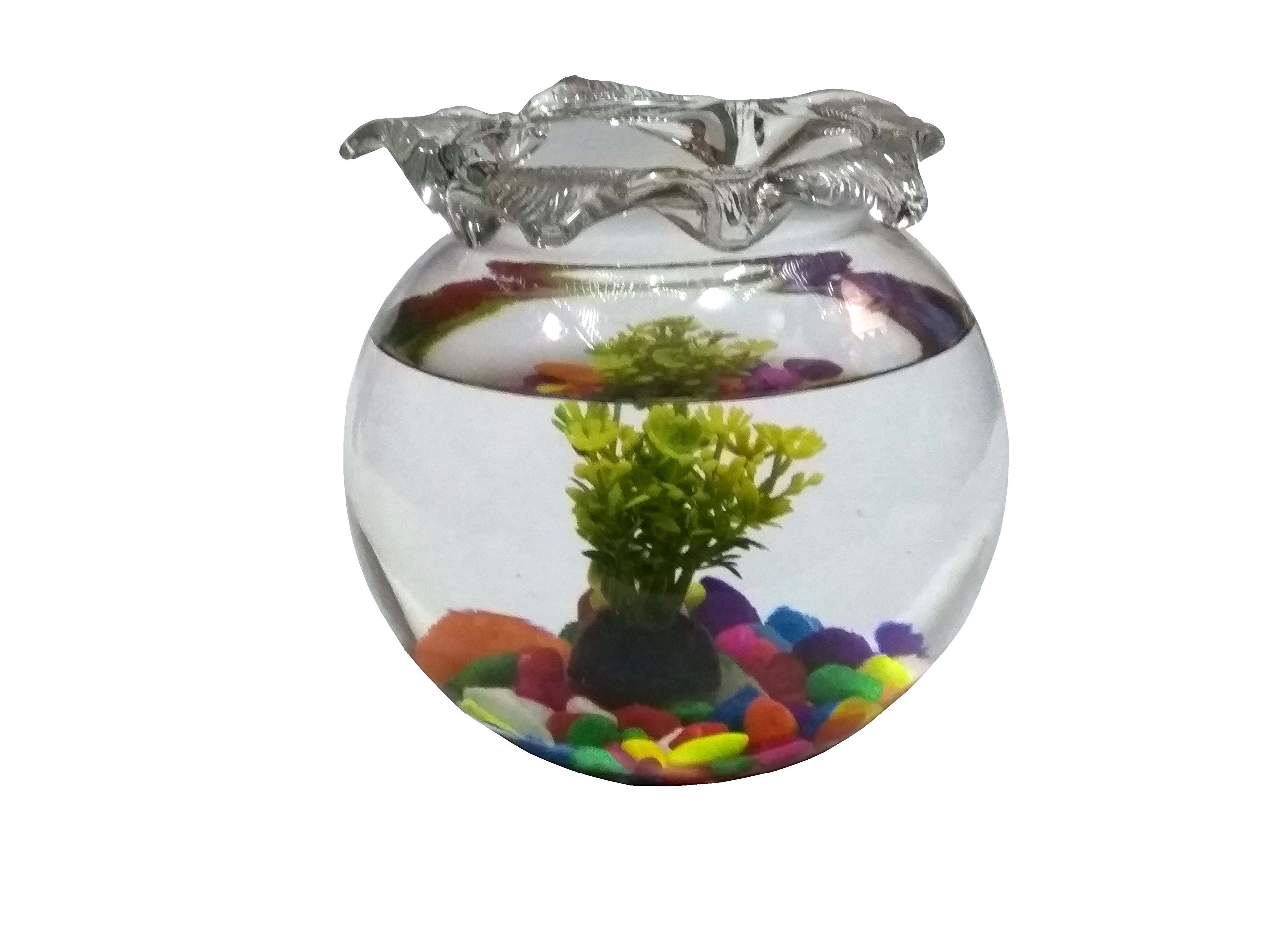 Jainsons Glass Fish Bowl With Baby Plant Multi-Color Stone & Artificial Fish (8 inch, Yellow)