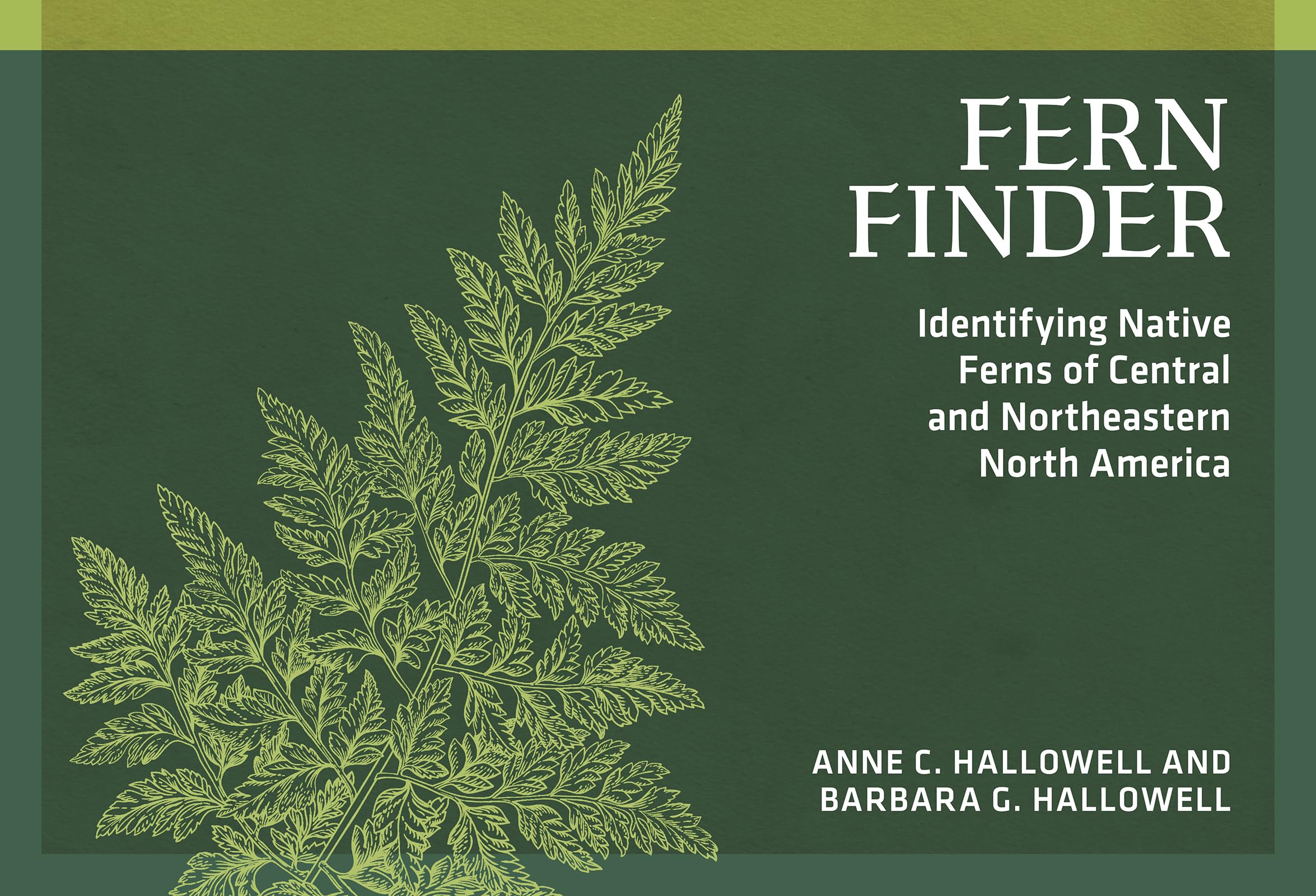 Fern Finder: Identifying Native Ferns of Central and Northeastern North America (Nature Study Guides)