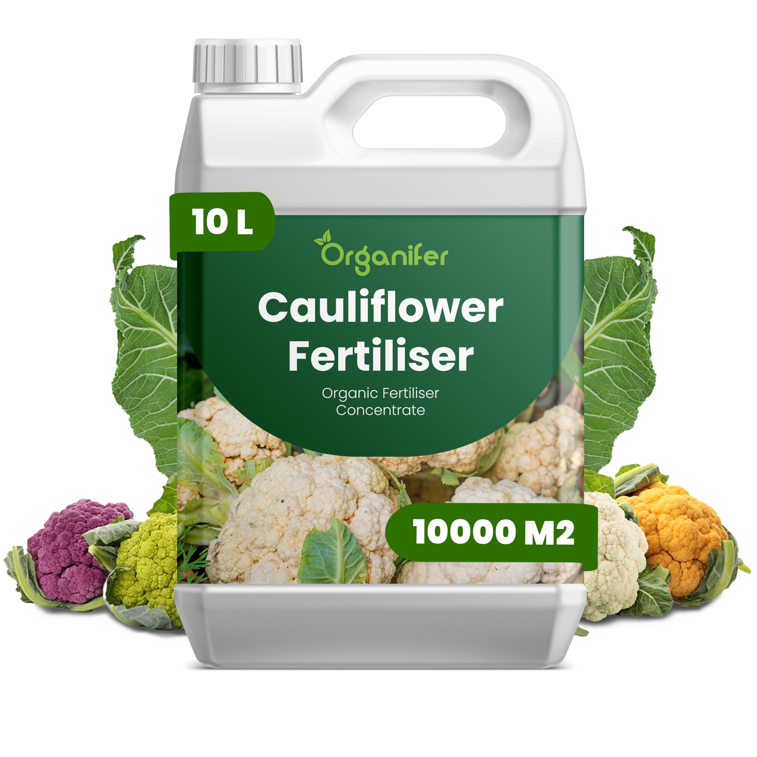 Blumenkohl Flüssigdünger - 10L - NPK 2-1-8 | Flüssig-Pflanzendünger Für Kräftige Köpfe & Gesunde Blätter - Fördert Wurzeln & Vitalität - Organifer
