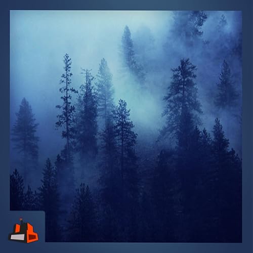 Misty Forest - Step into the Forest of Mist