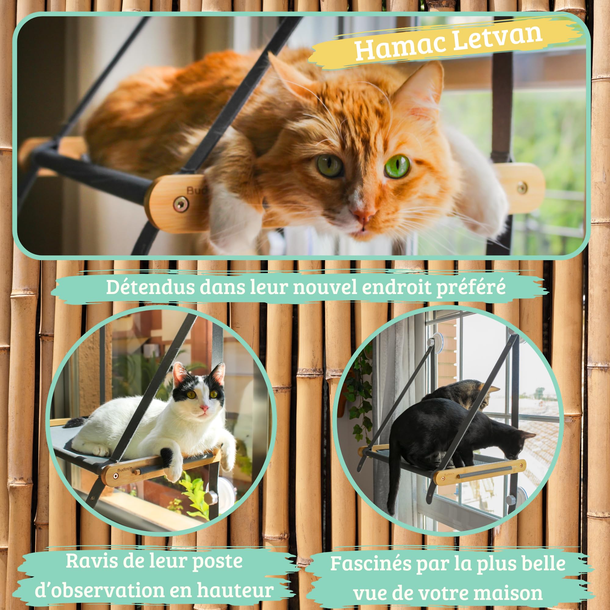 Hamac Chat fenêtre en Bambou Massif – 5 ventouses 3.0 Ultra résistantes – Hamac pour Chat avec Tissu Oxford Respirant – Installation Facile (Manuel Inclus) – Hamac Letvan de Budosín